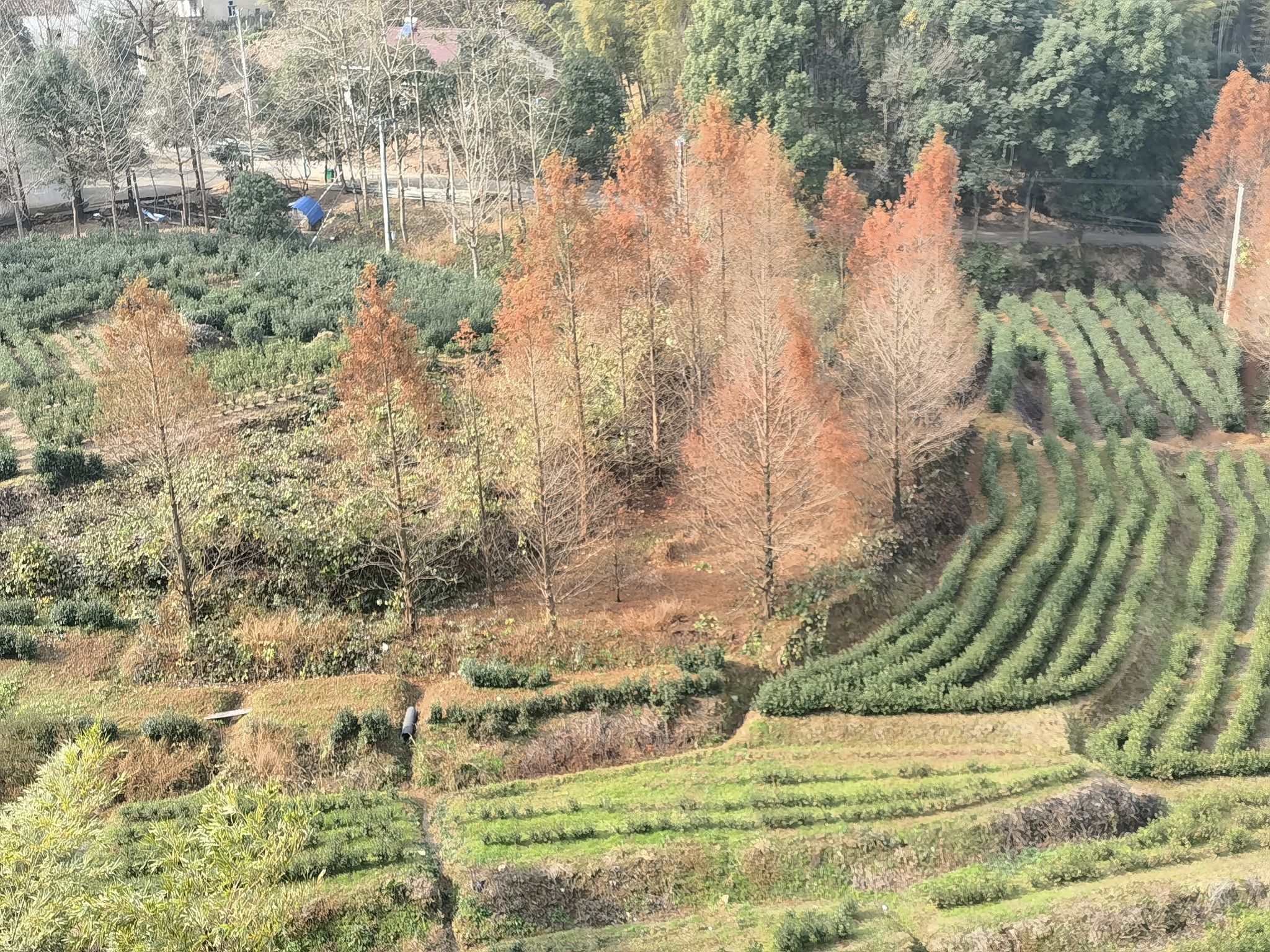 观天下景区旅行图片 3