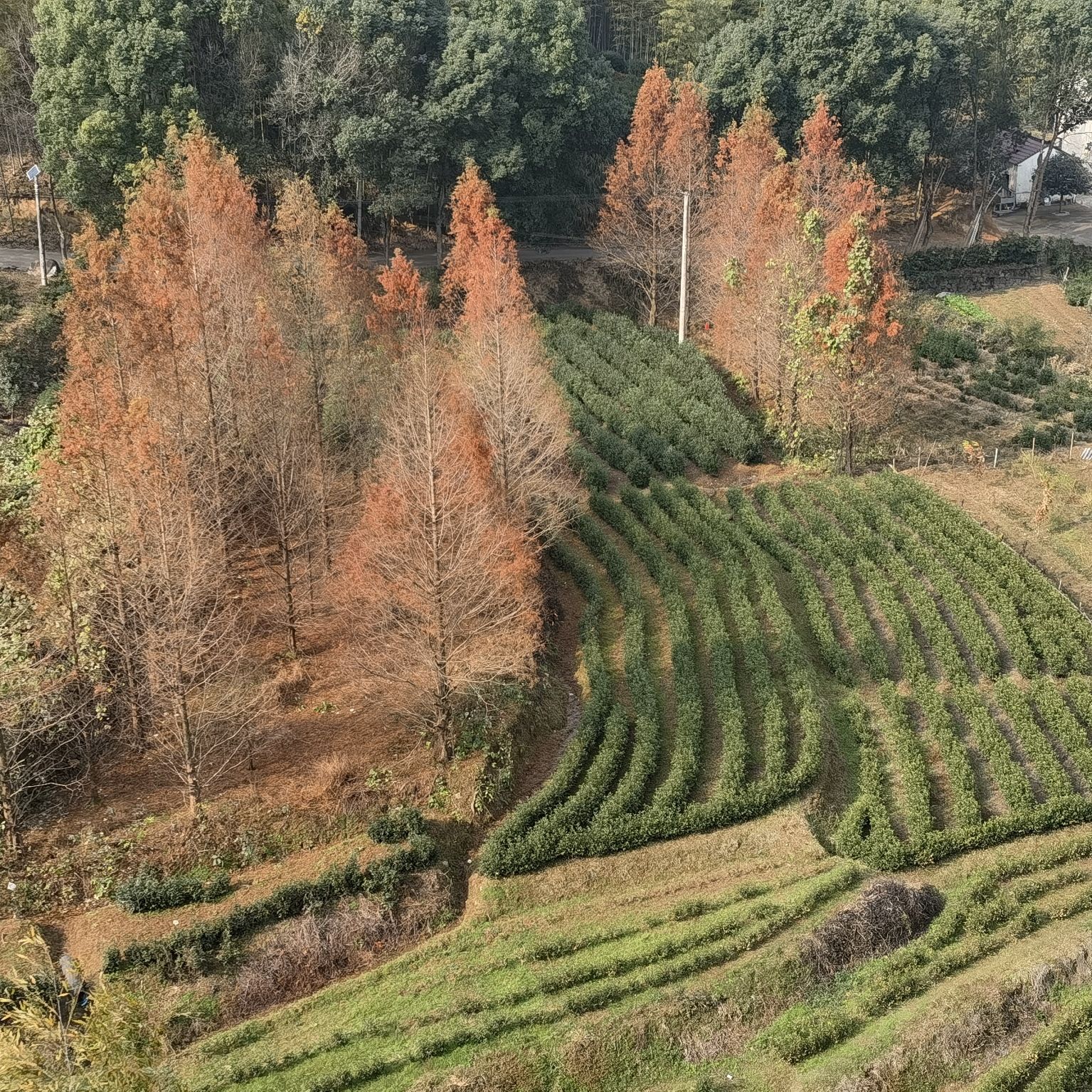 观天下景区旅行图片 1