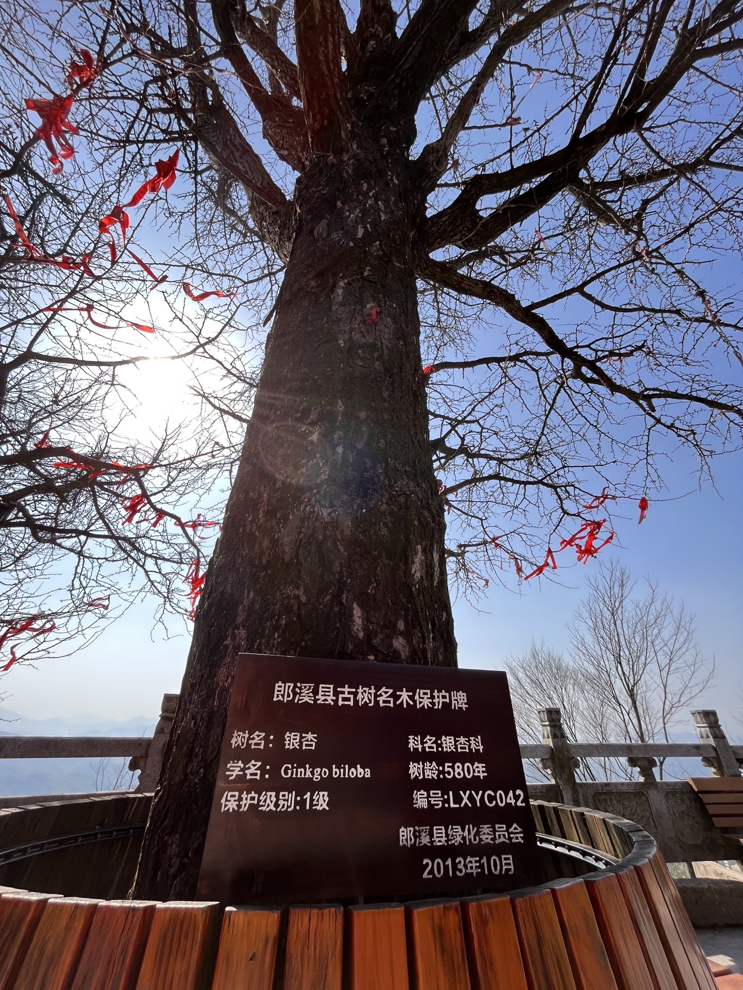 观天下景区旅行图片 2