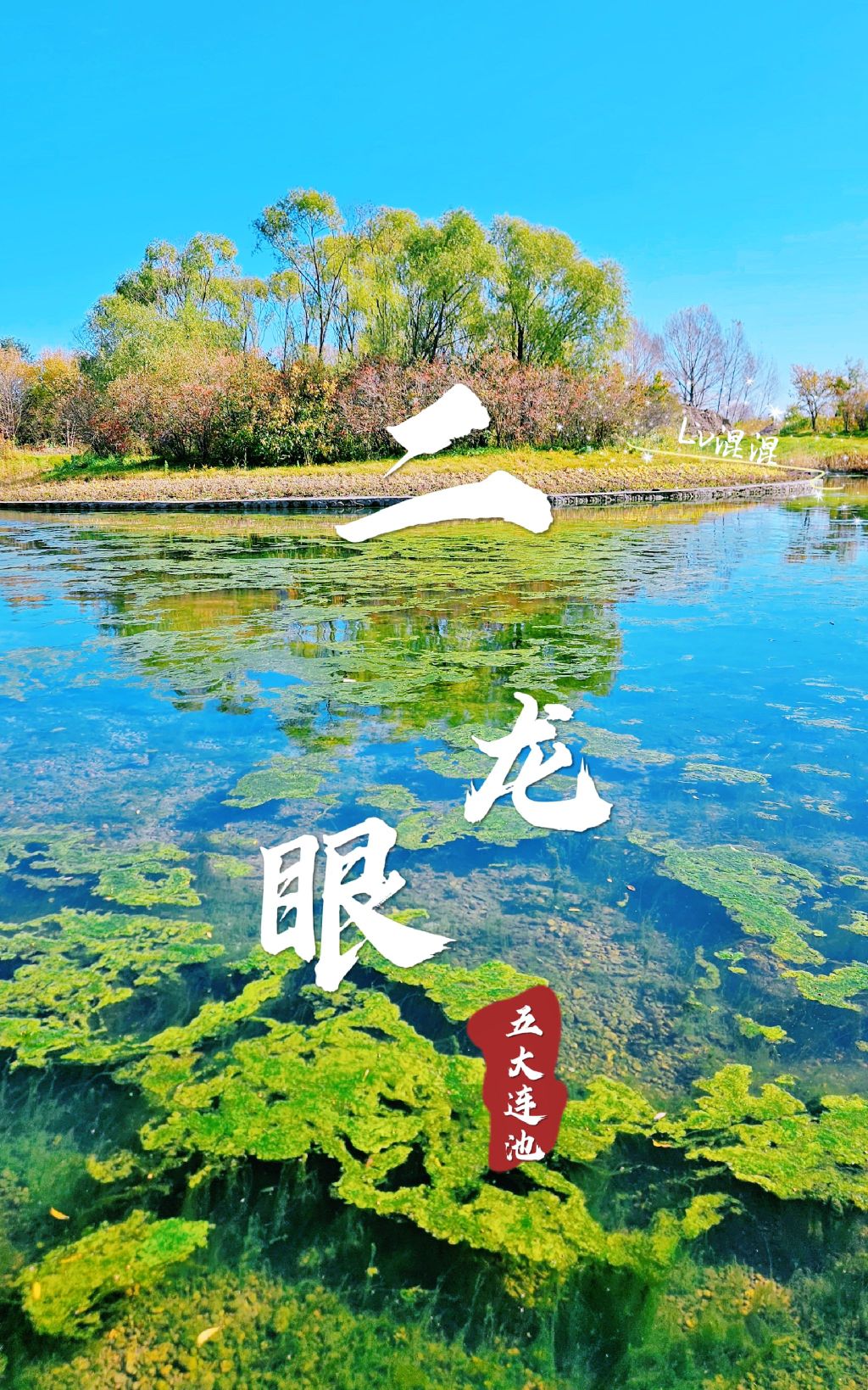 二龙眼泉