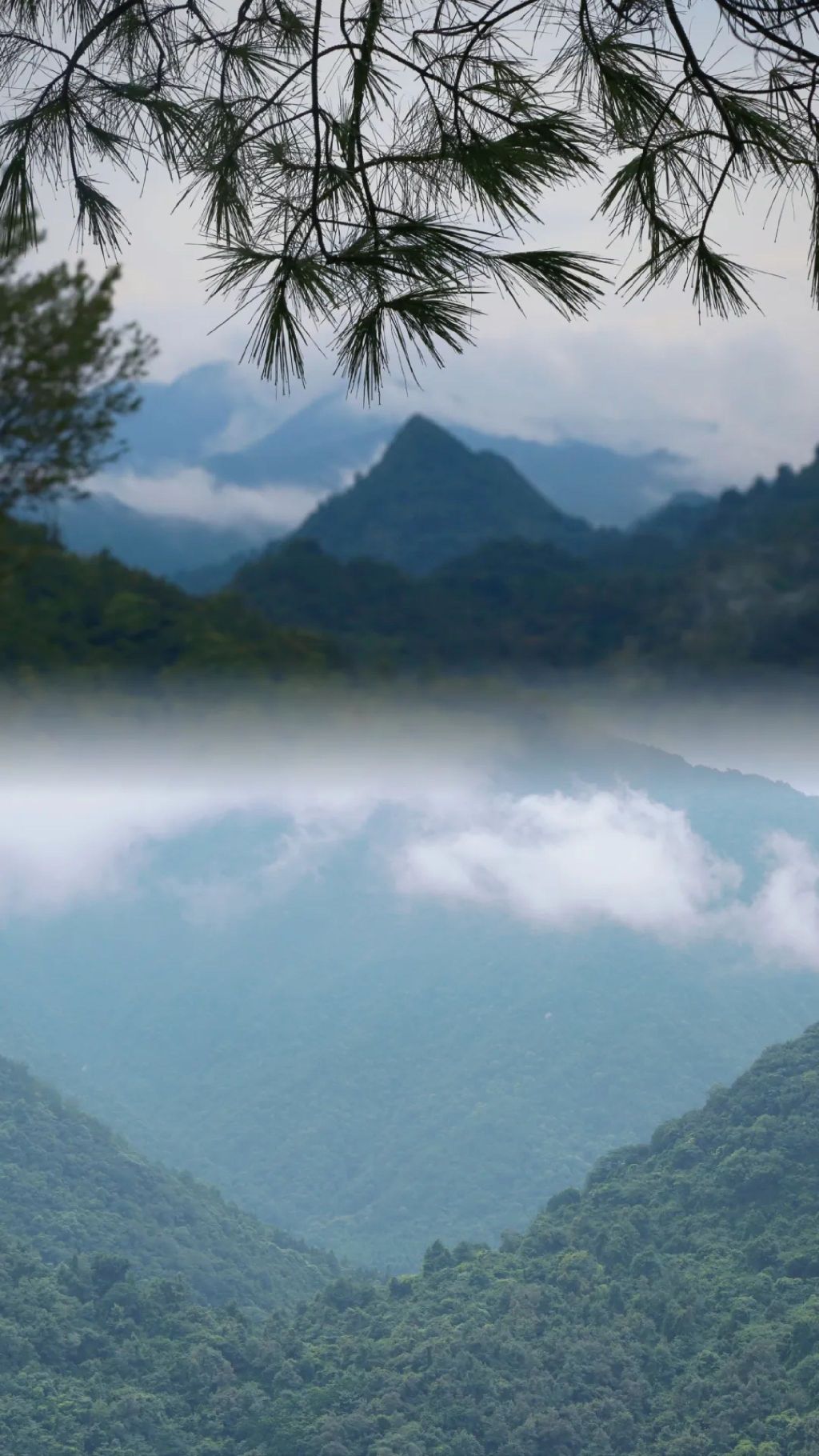 广东乳源南水湖国家湿地公园旅行图片 1