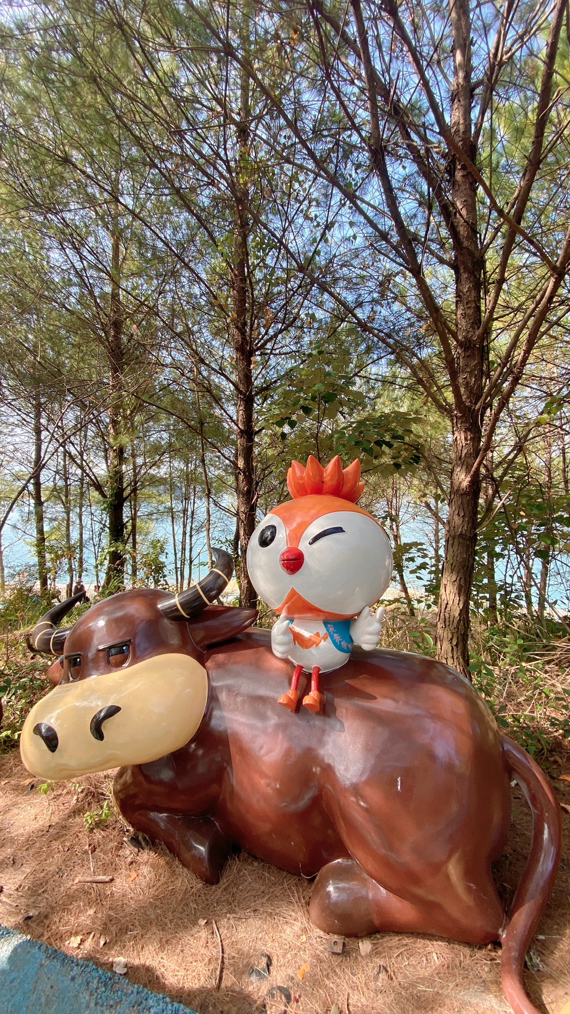 广东乳源南水湖国家湿地公园旅行图片 2