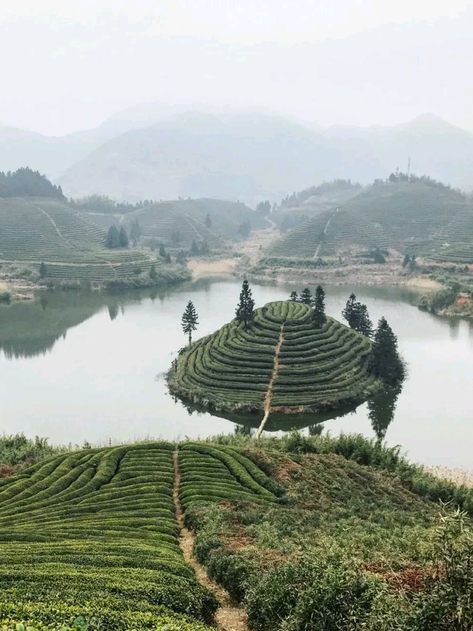 大莱梯田旅行图片 1