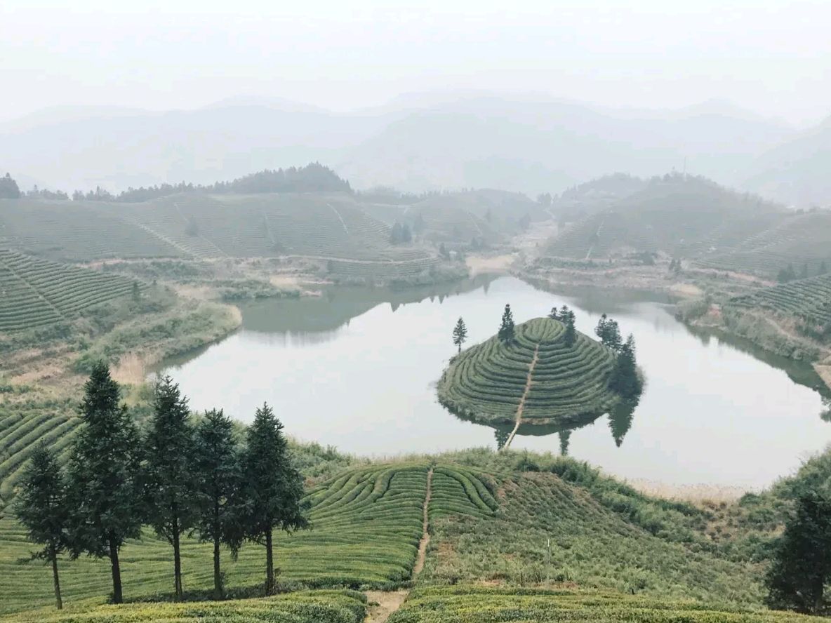 大莱梯田旅行图片 2