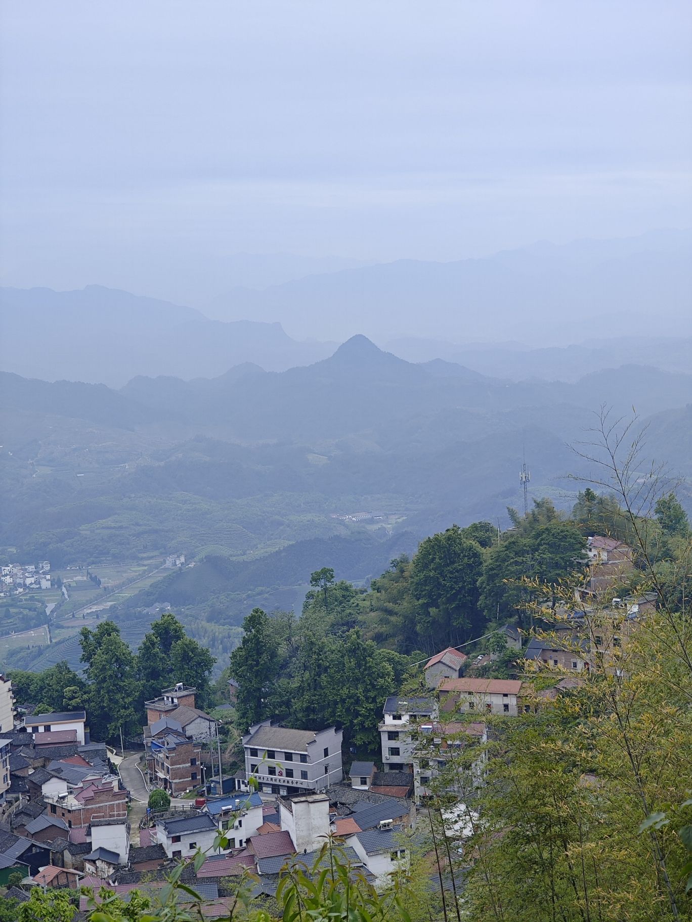 大莱梯田旅行图片 2