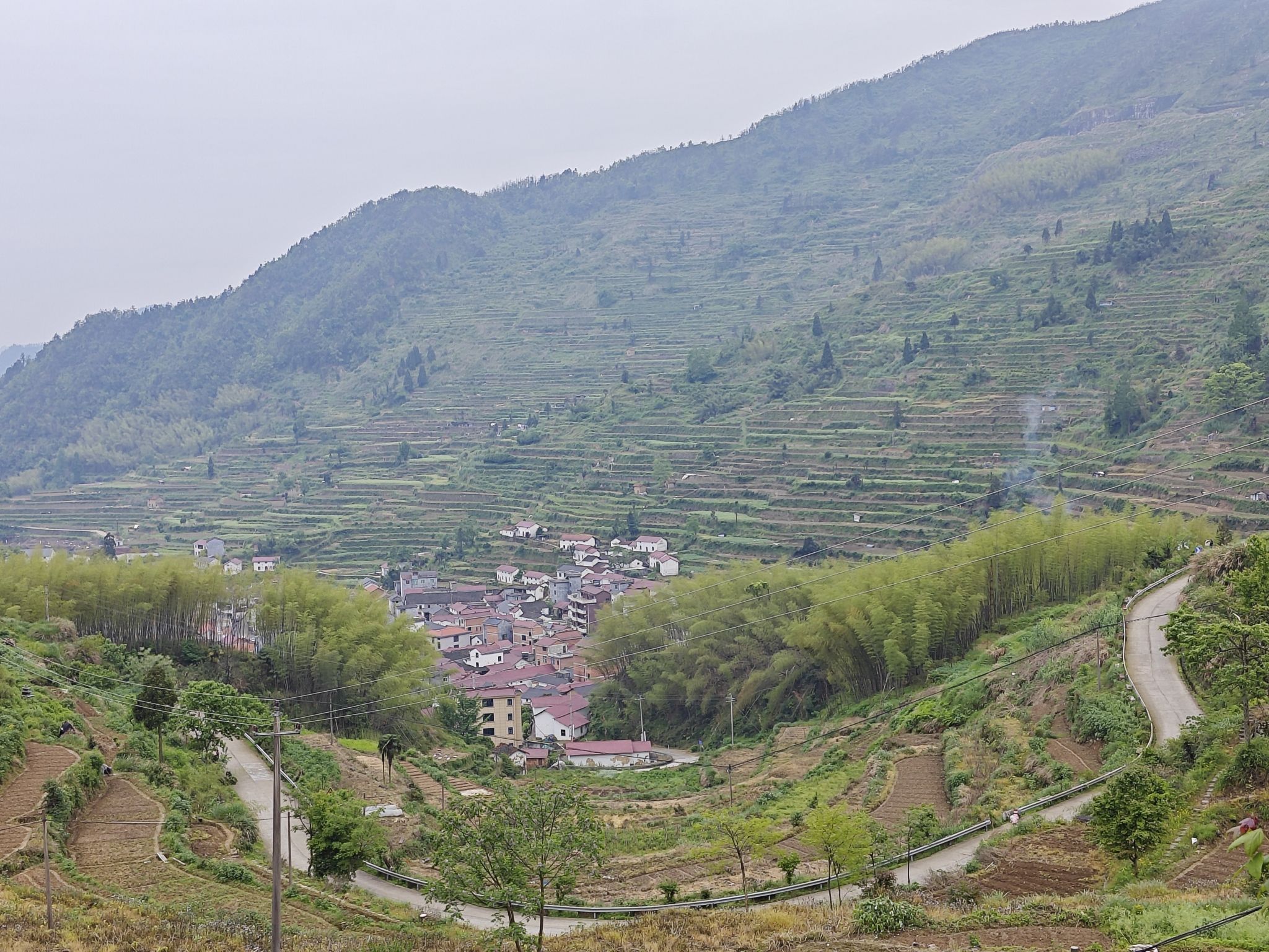 大莱梯田旅行图片 3