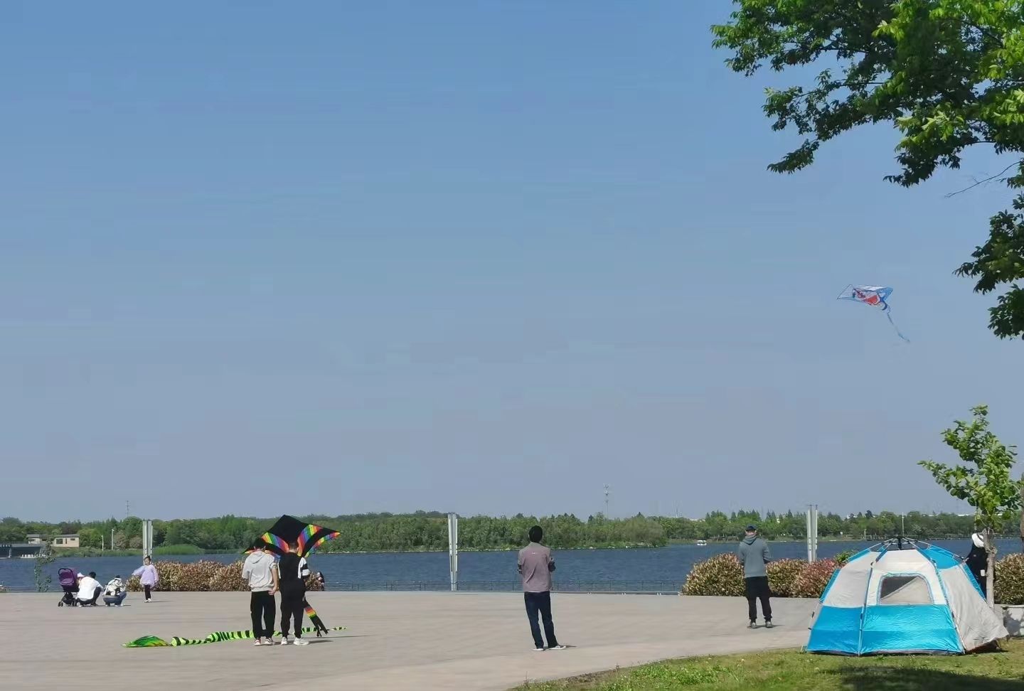 如皋龙游湖生态公园旅行图片 2