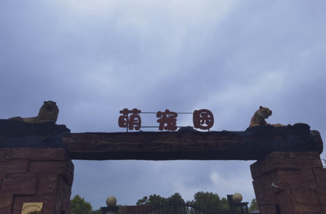 如皋龙游湖生态公园旅行图片 2