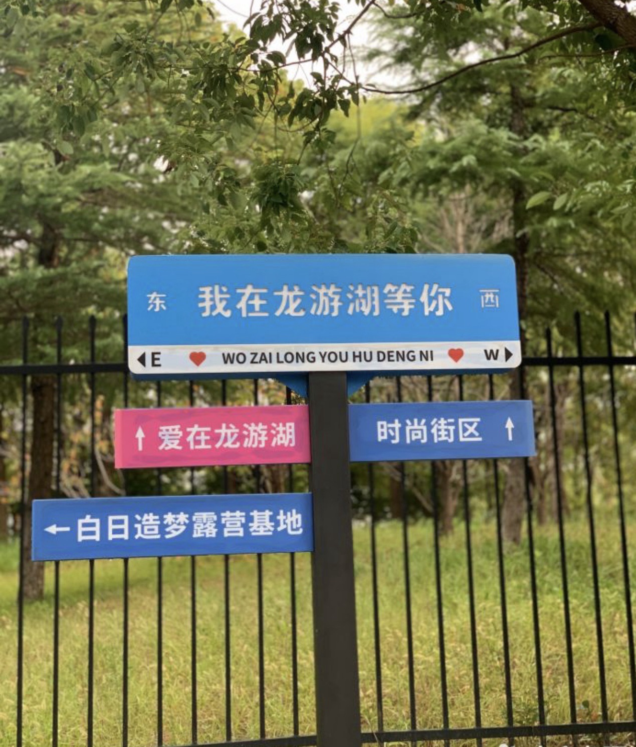 如皋龙游湖生态公园旅行图片 3