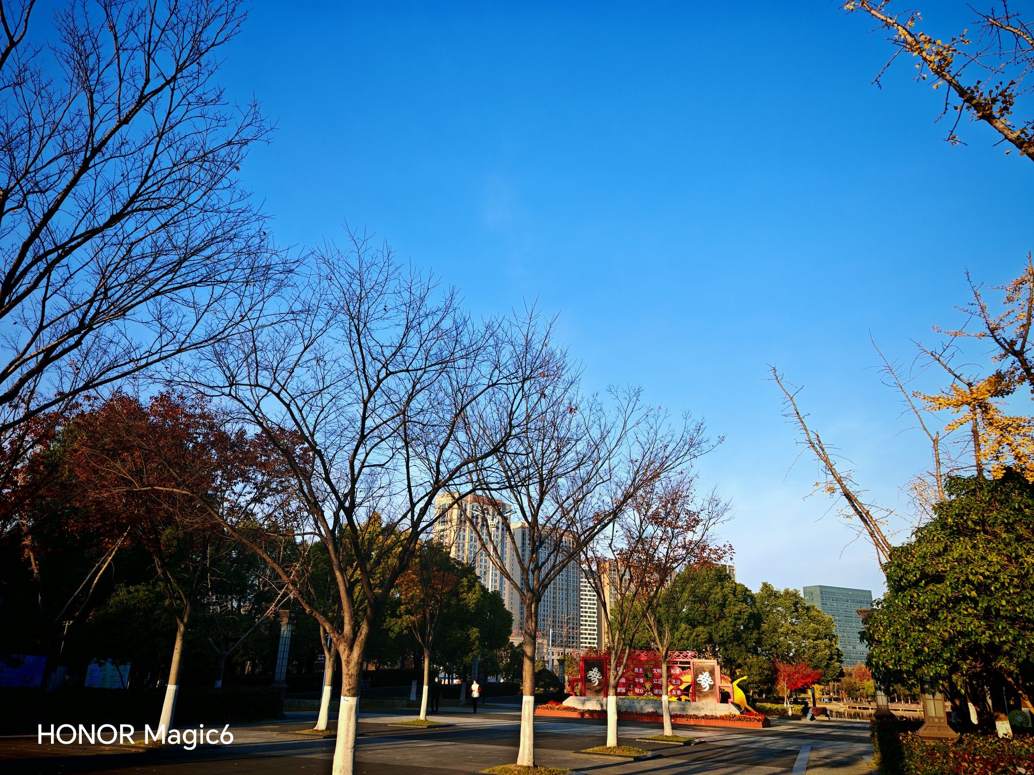 如皋龙游湖生态公园旅行图片 2
