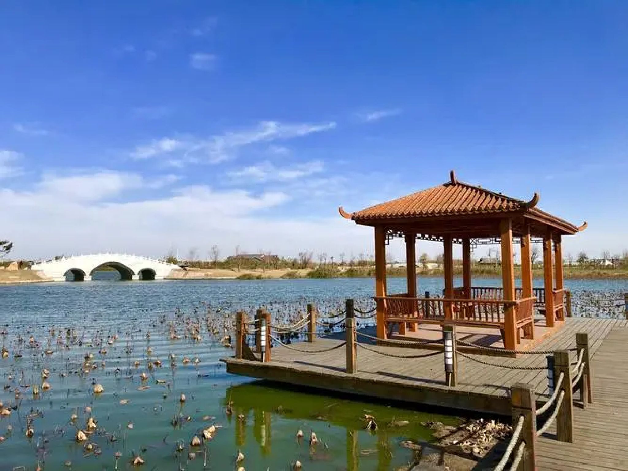 南湖公园旅行图片 1