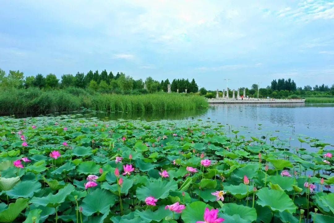 南湖公园旅行图片 3