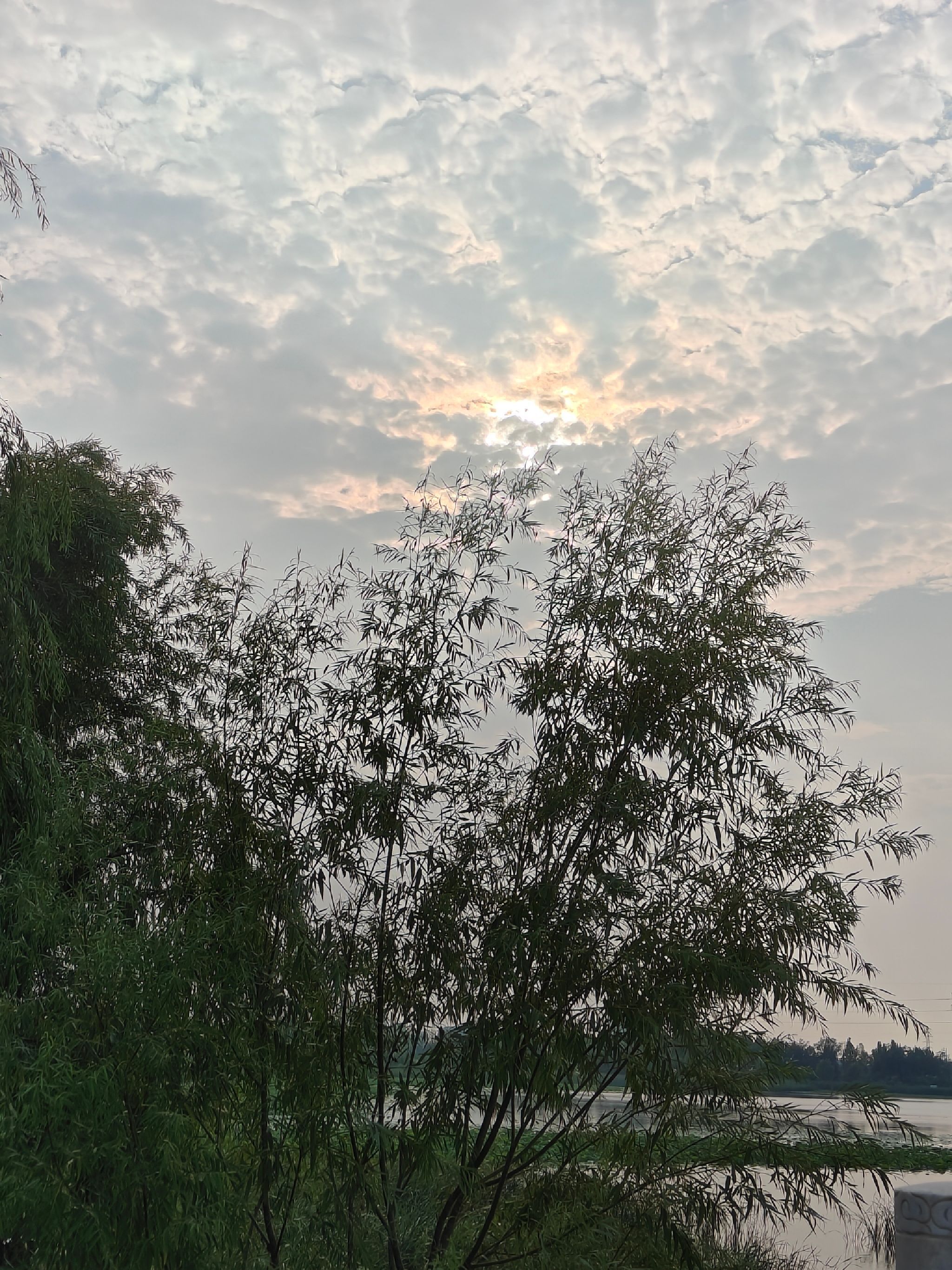 南湖公园旅行图片 1