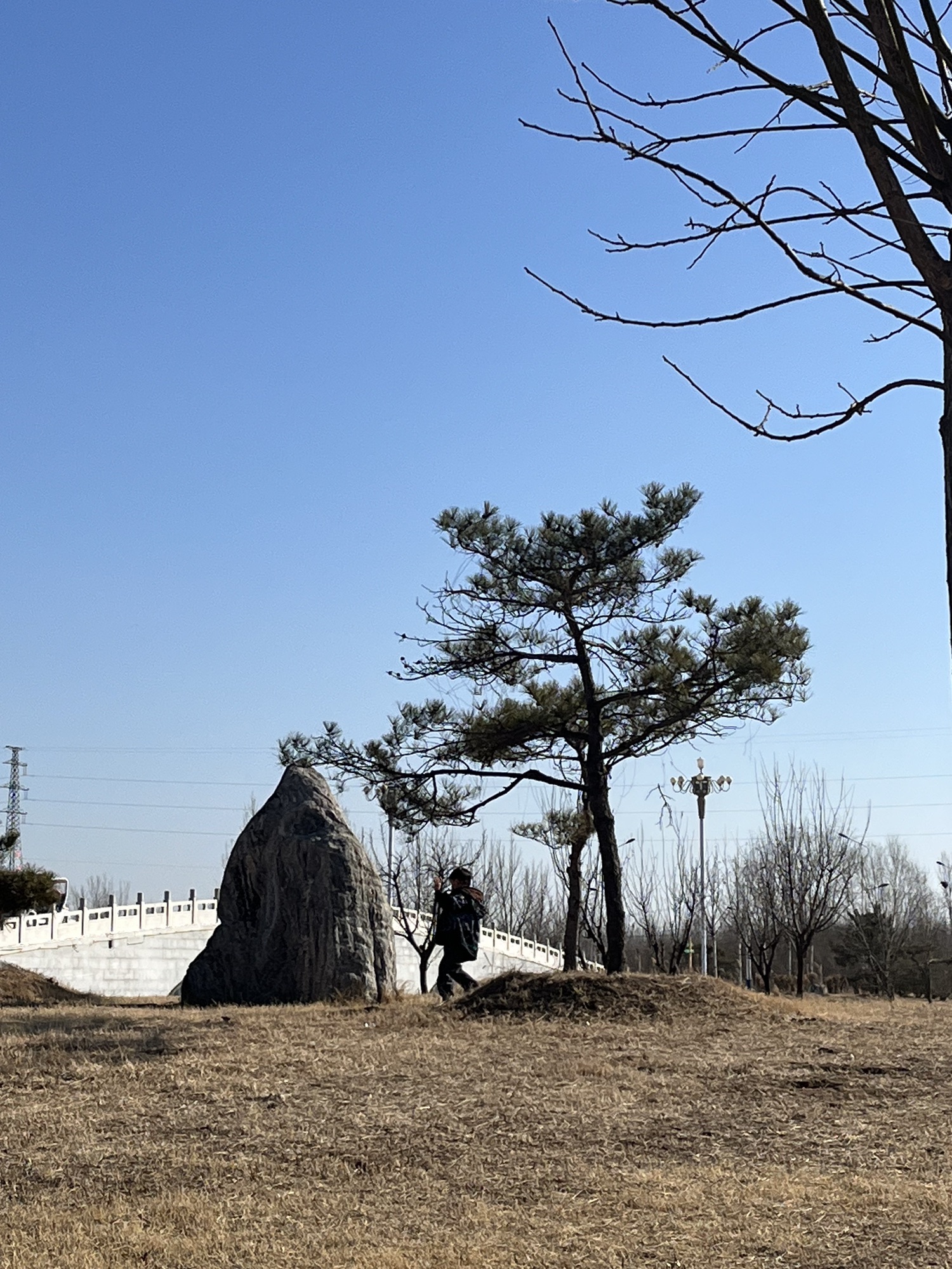 南湖公园旅行图片 2