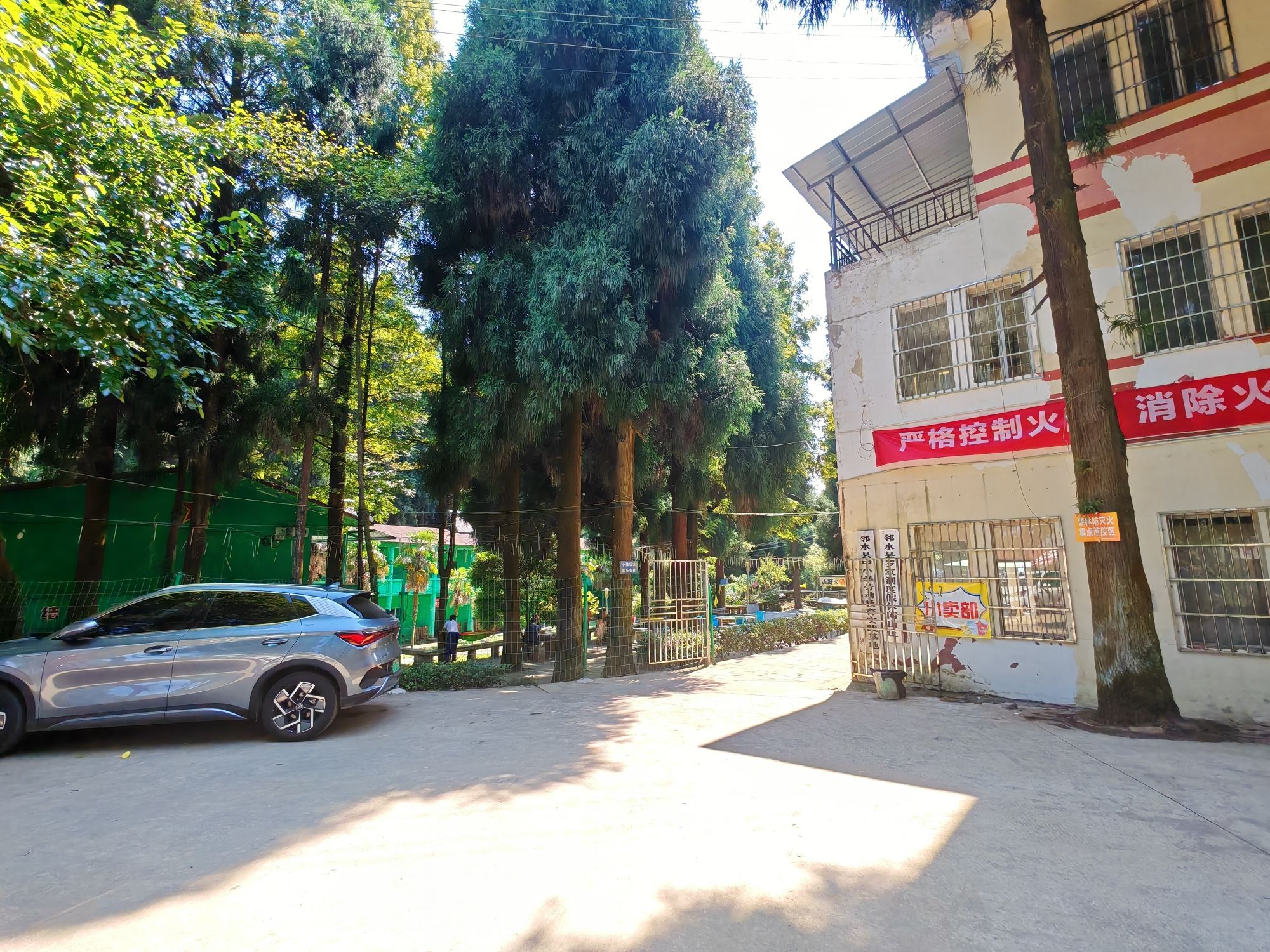 罗家洞森林公园旅行图片 2