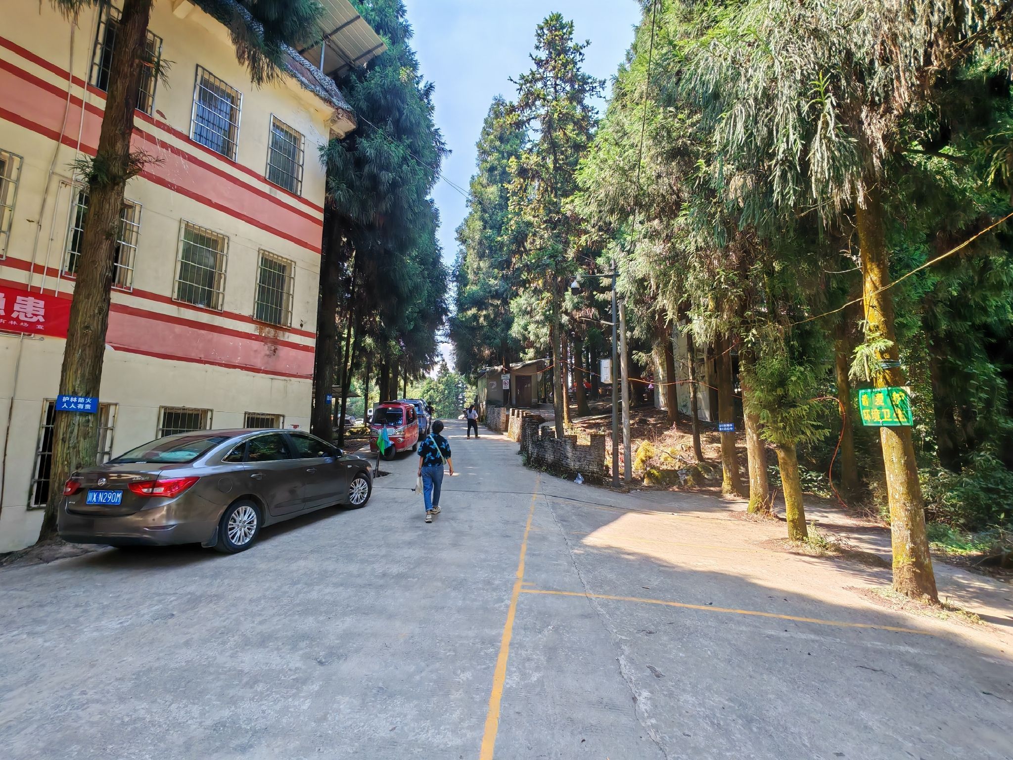 罗家洞森林公园旅行图片 1