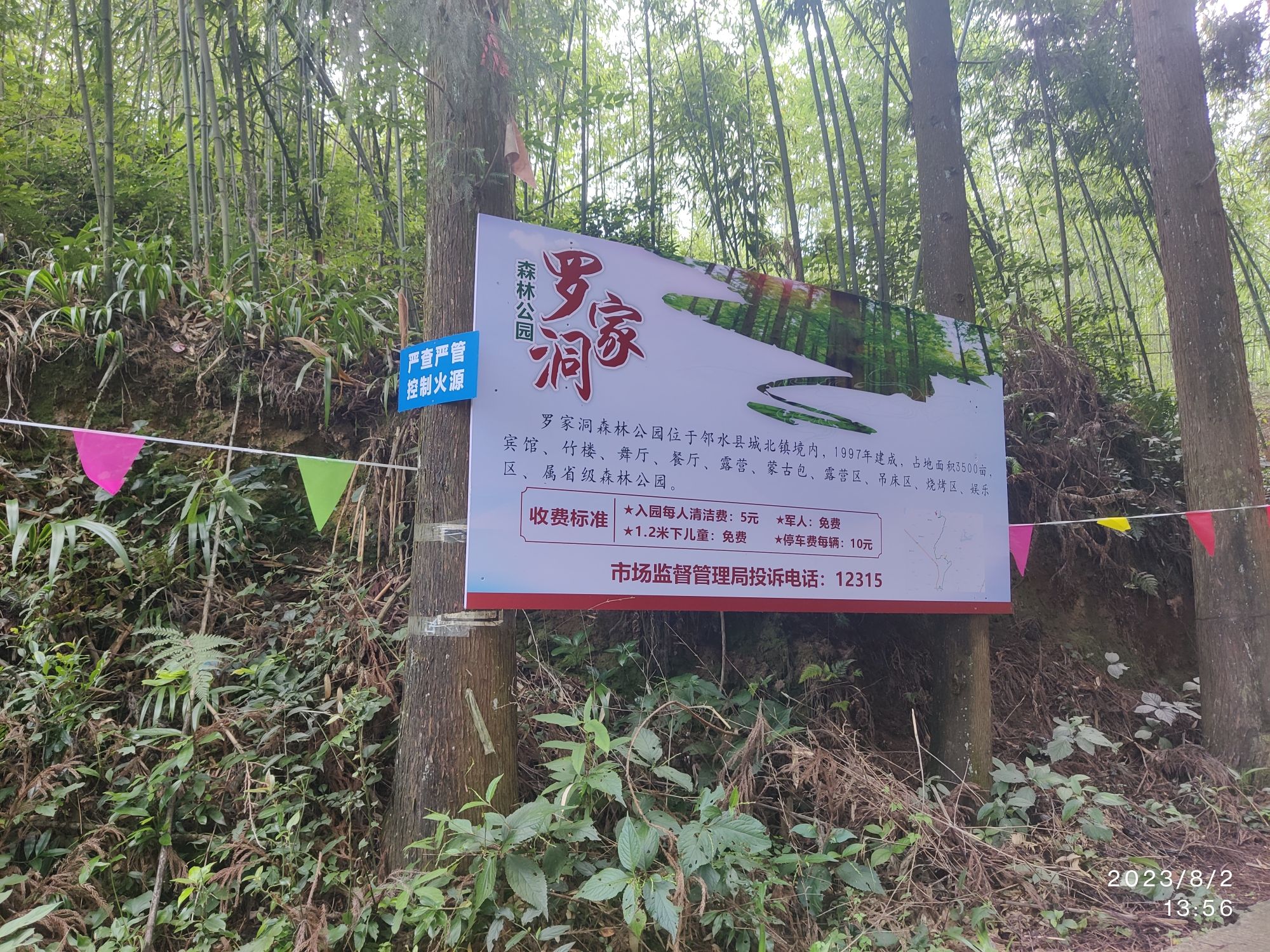 罗家洞森林公园