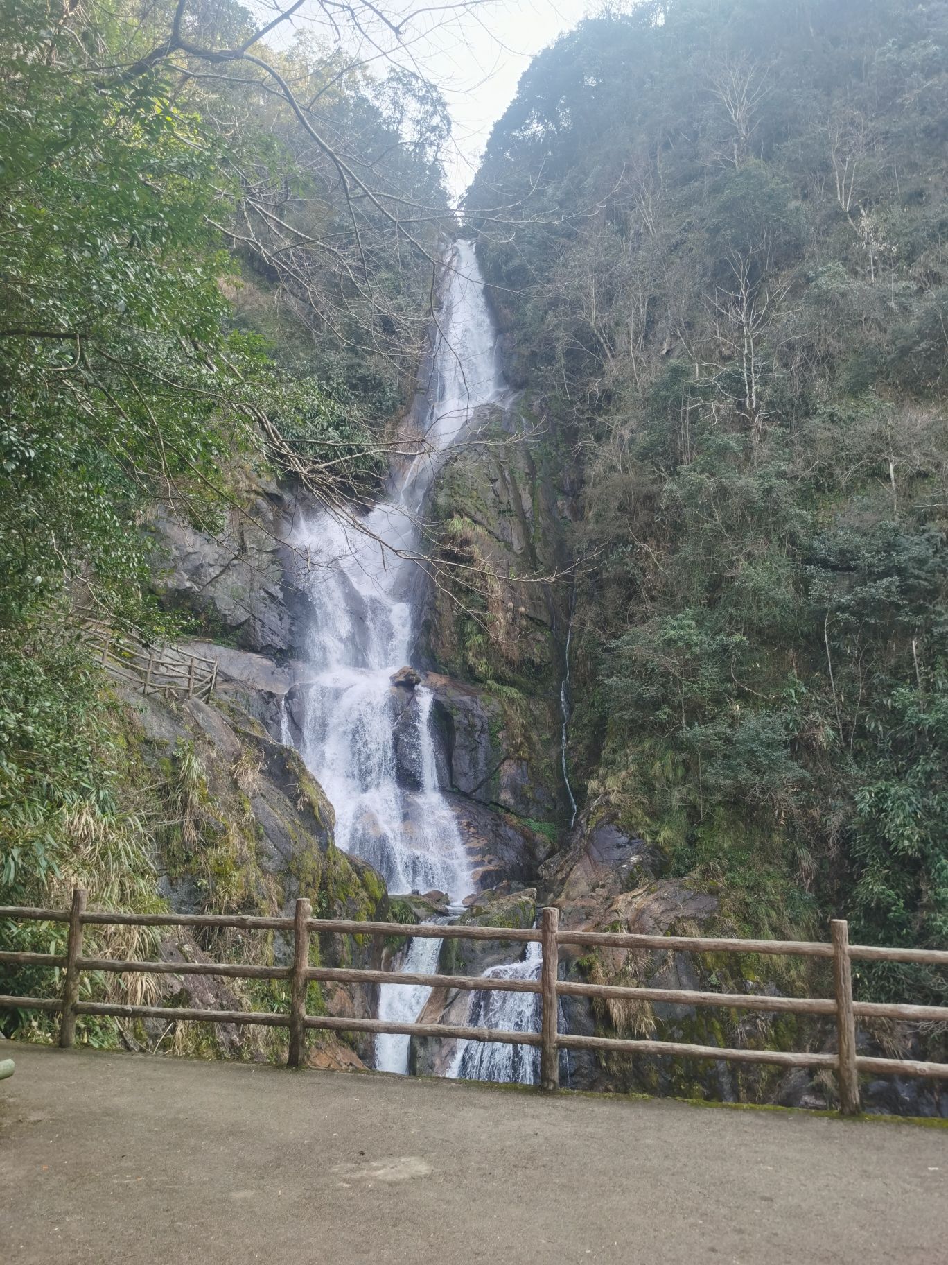 养心谷金竹飞瀑景区旅行图片 1