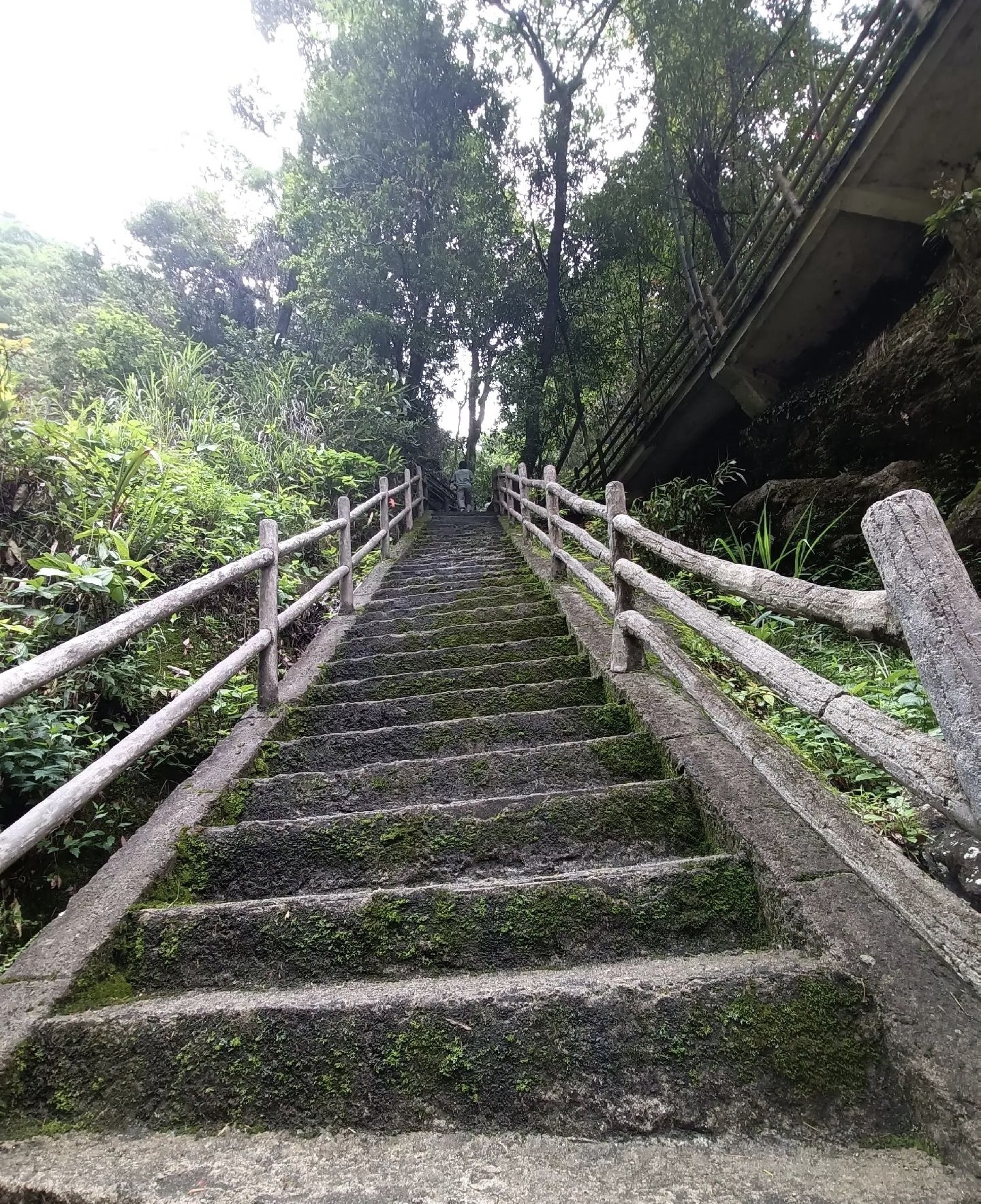 养心谷金竹飞瀑景区旅行图片 3