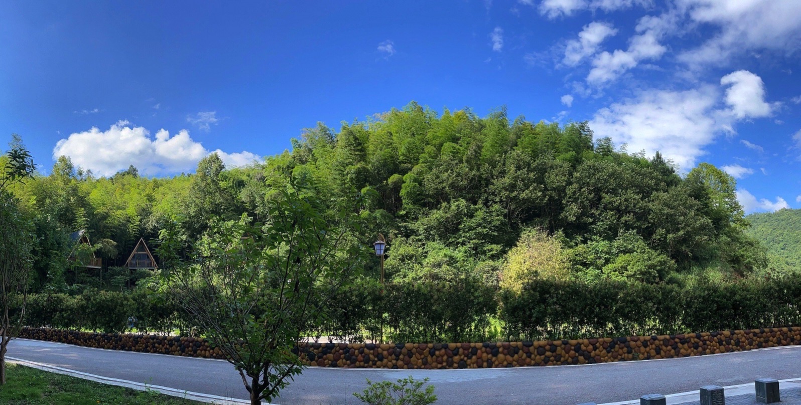 湖南靖州国家森林公园旅行图片 2