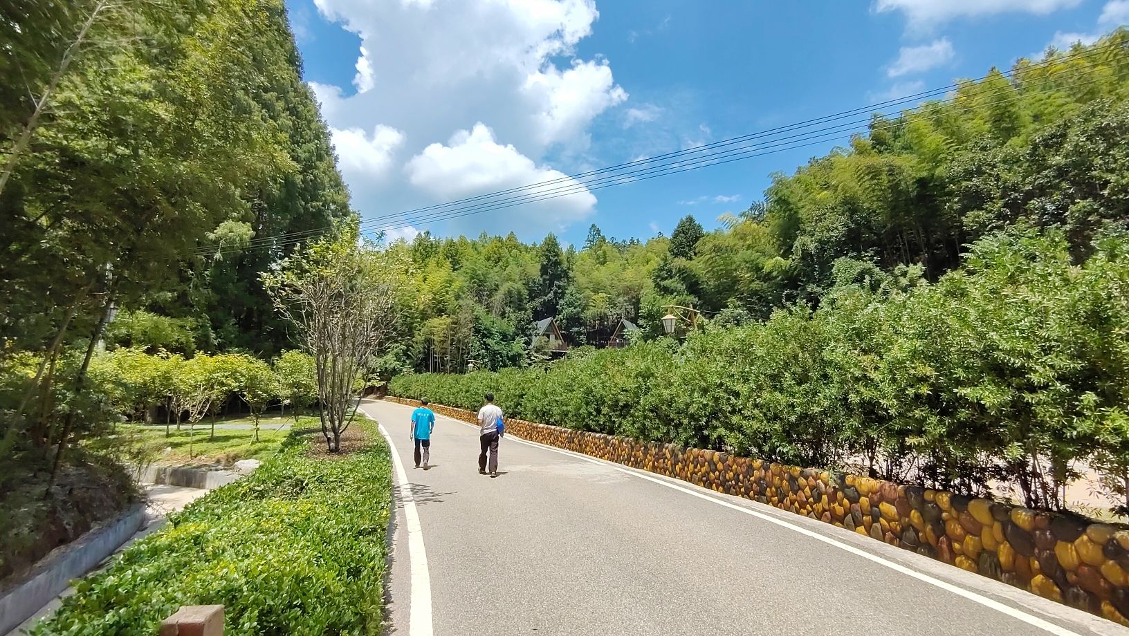 湖南靖州国家森林公园旅行图片 1