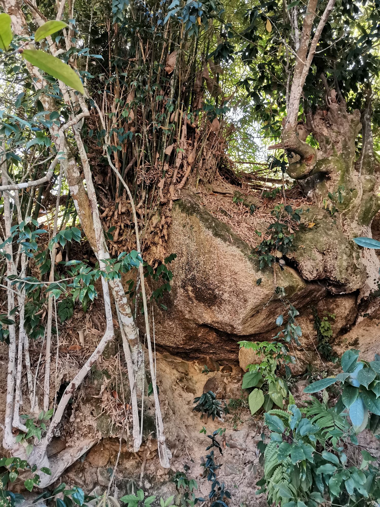 铁扇关门瀑布旅行图片 3