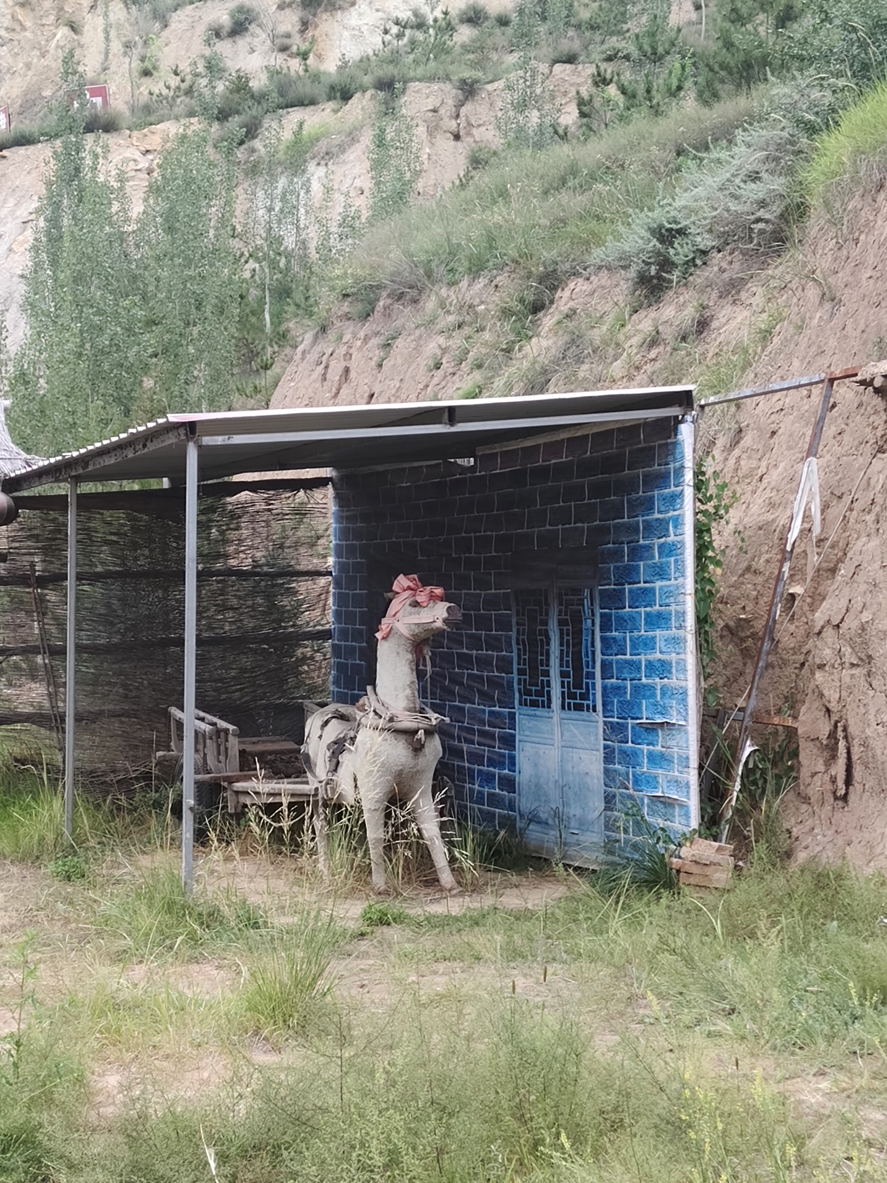 蔚县活阳山老君洞景区旅行图片 1
