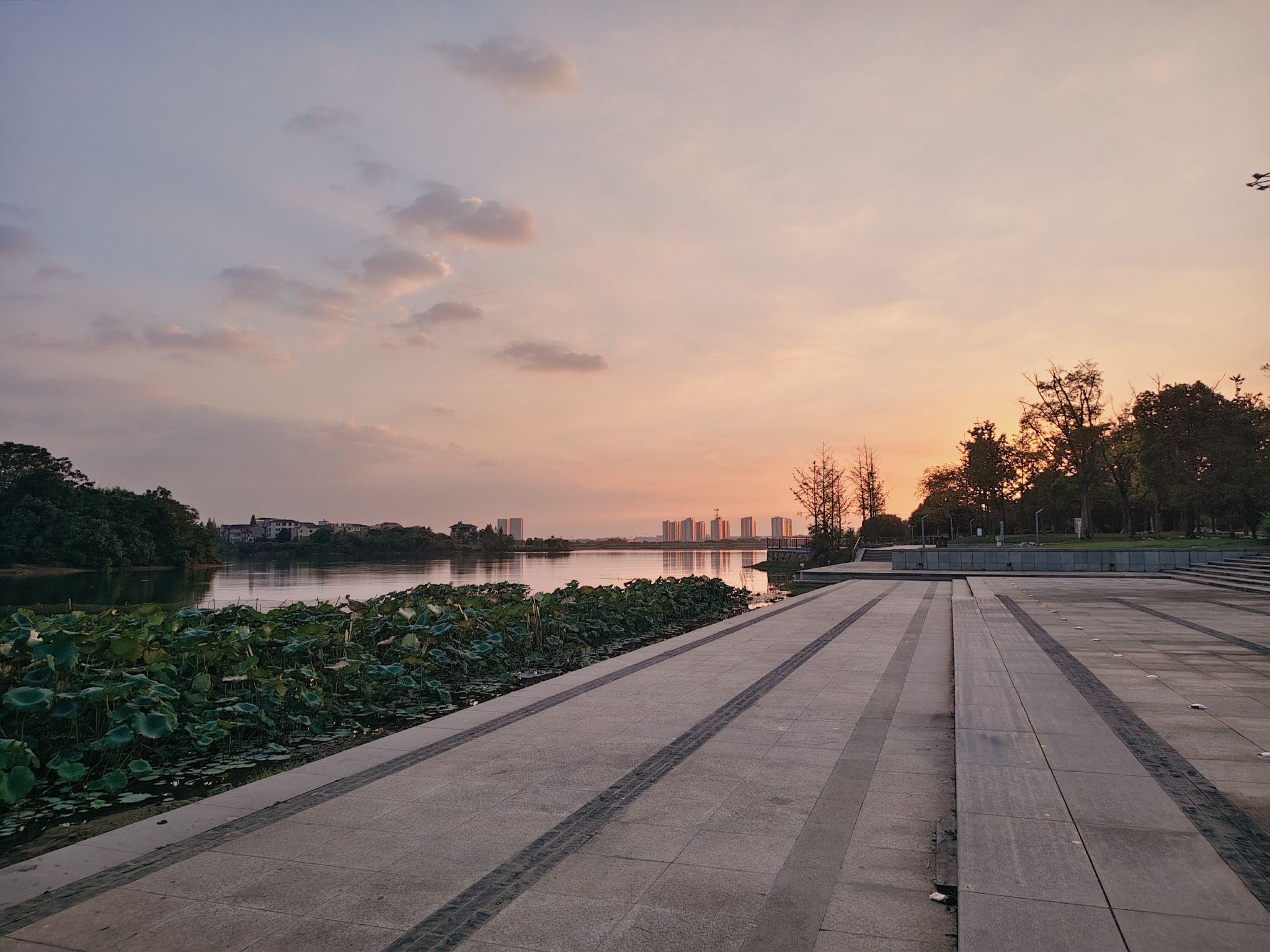 金满湖公园旅行图片 1