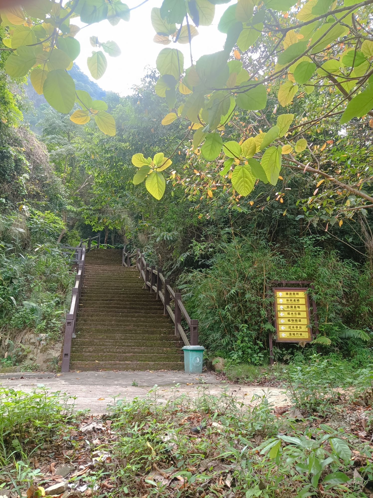 龙颈瀑布景区旅行图片 3