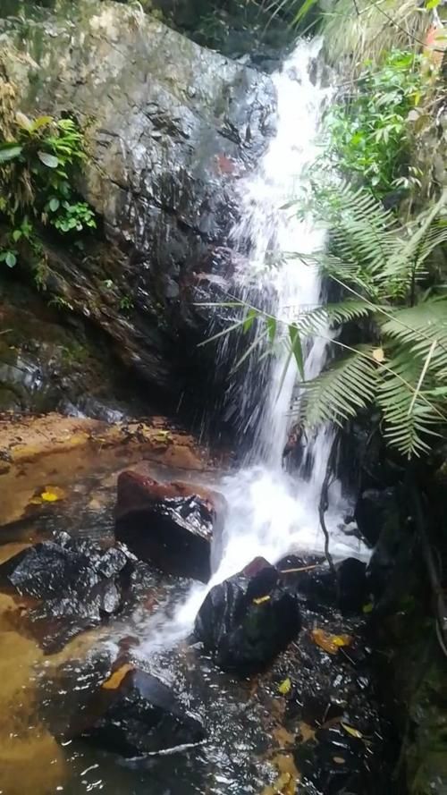 龙颈瀑布景区旅行图片 2