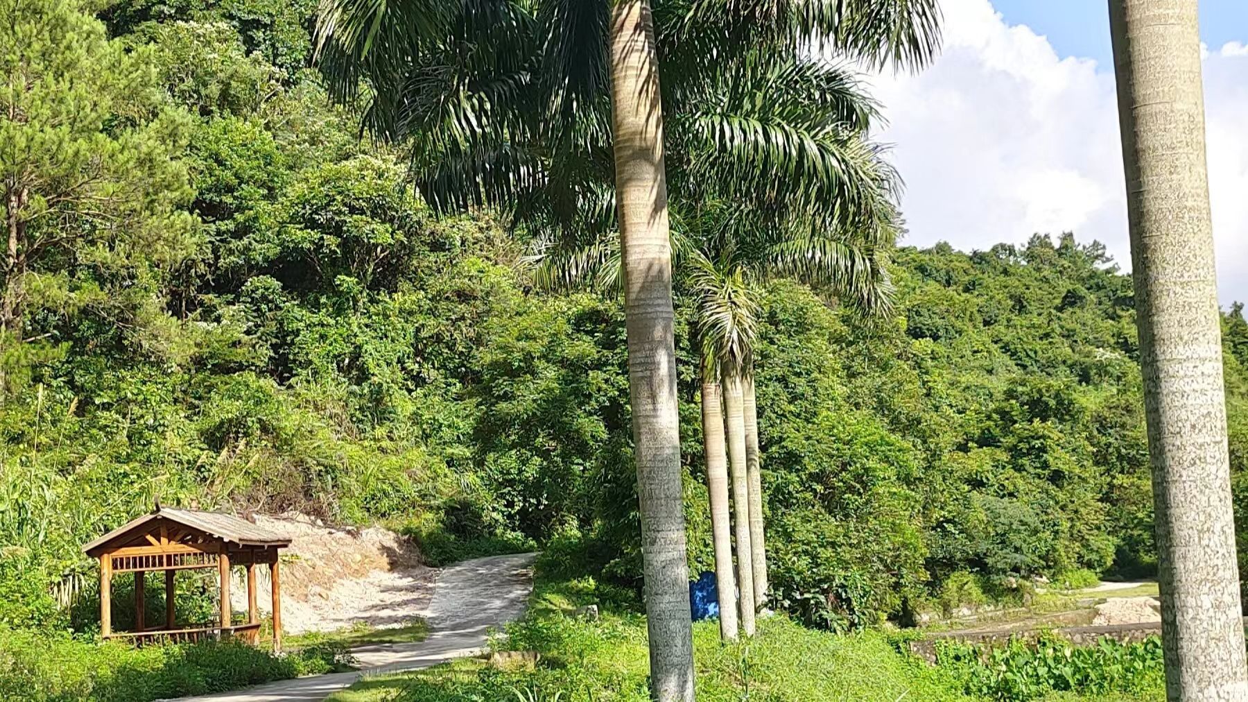 龙颈瀑布景区旅行图片 3