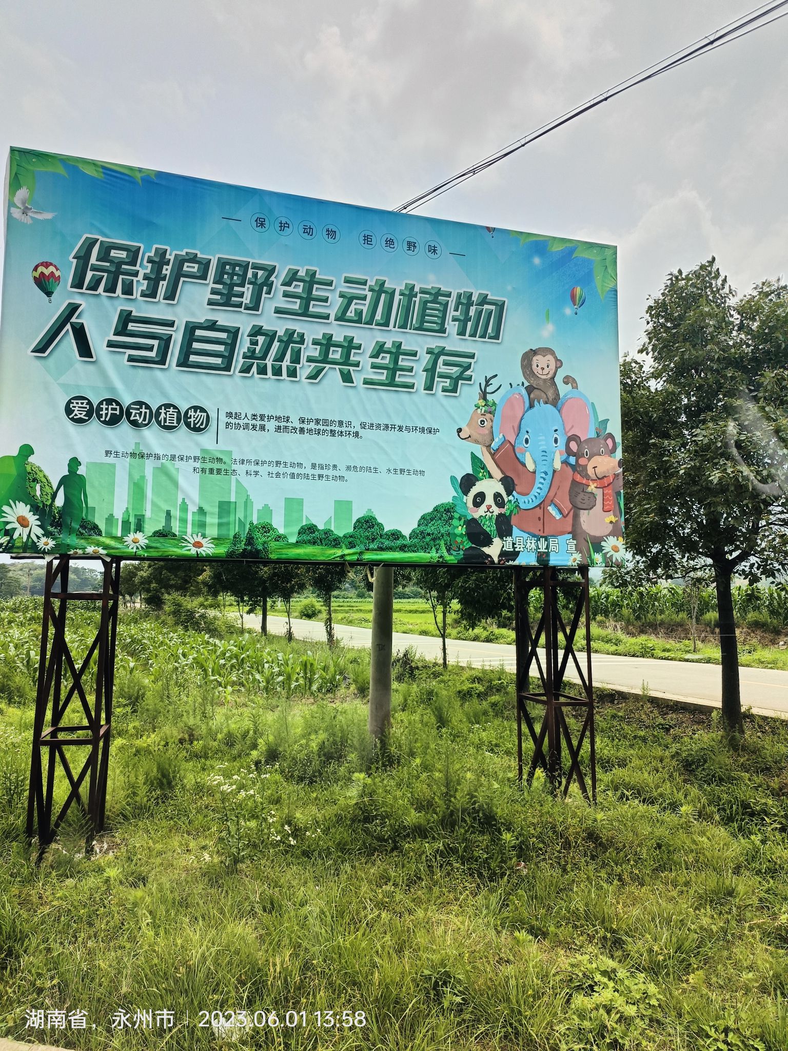月岩国家森林公园旅行图片 1