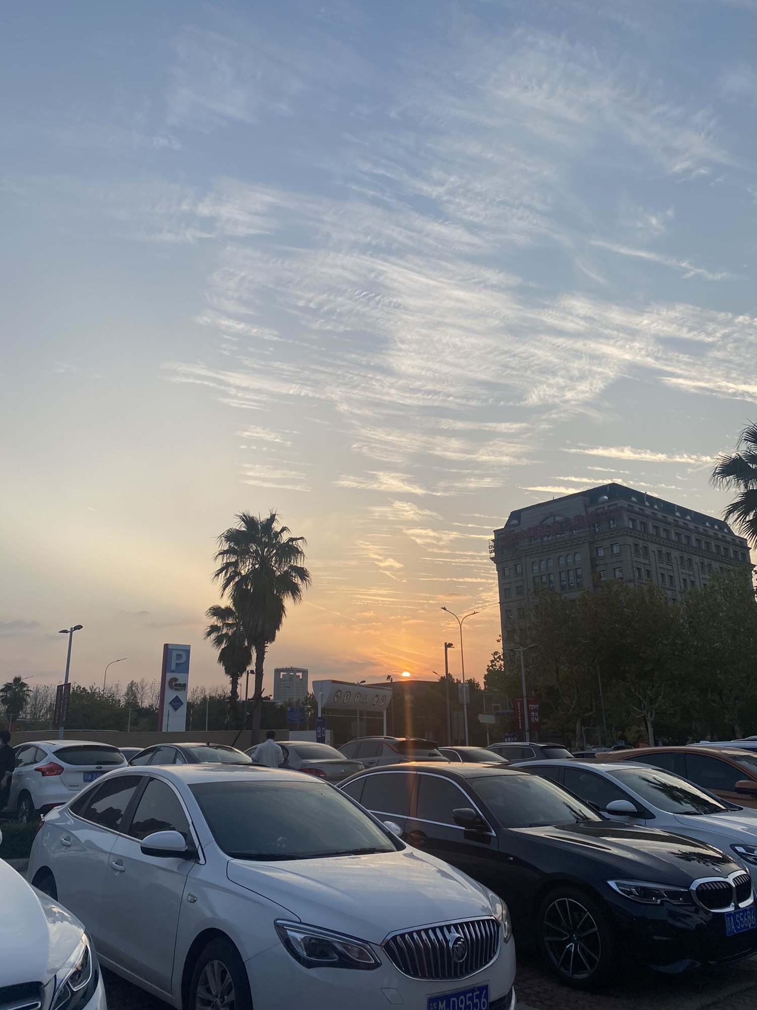 上排公园旅行图片 2