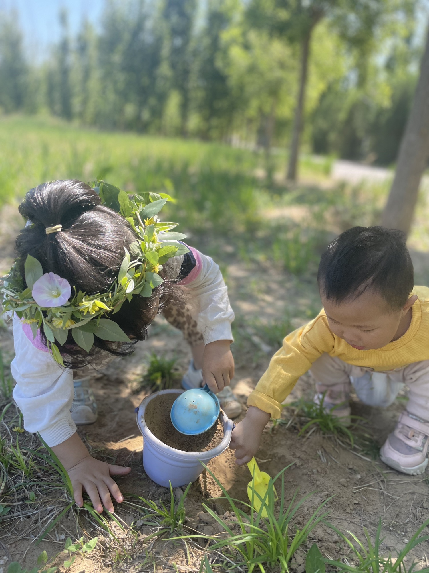 礼湖森林公园旅行图片 3