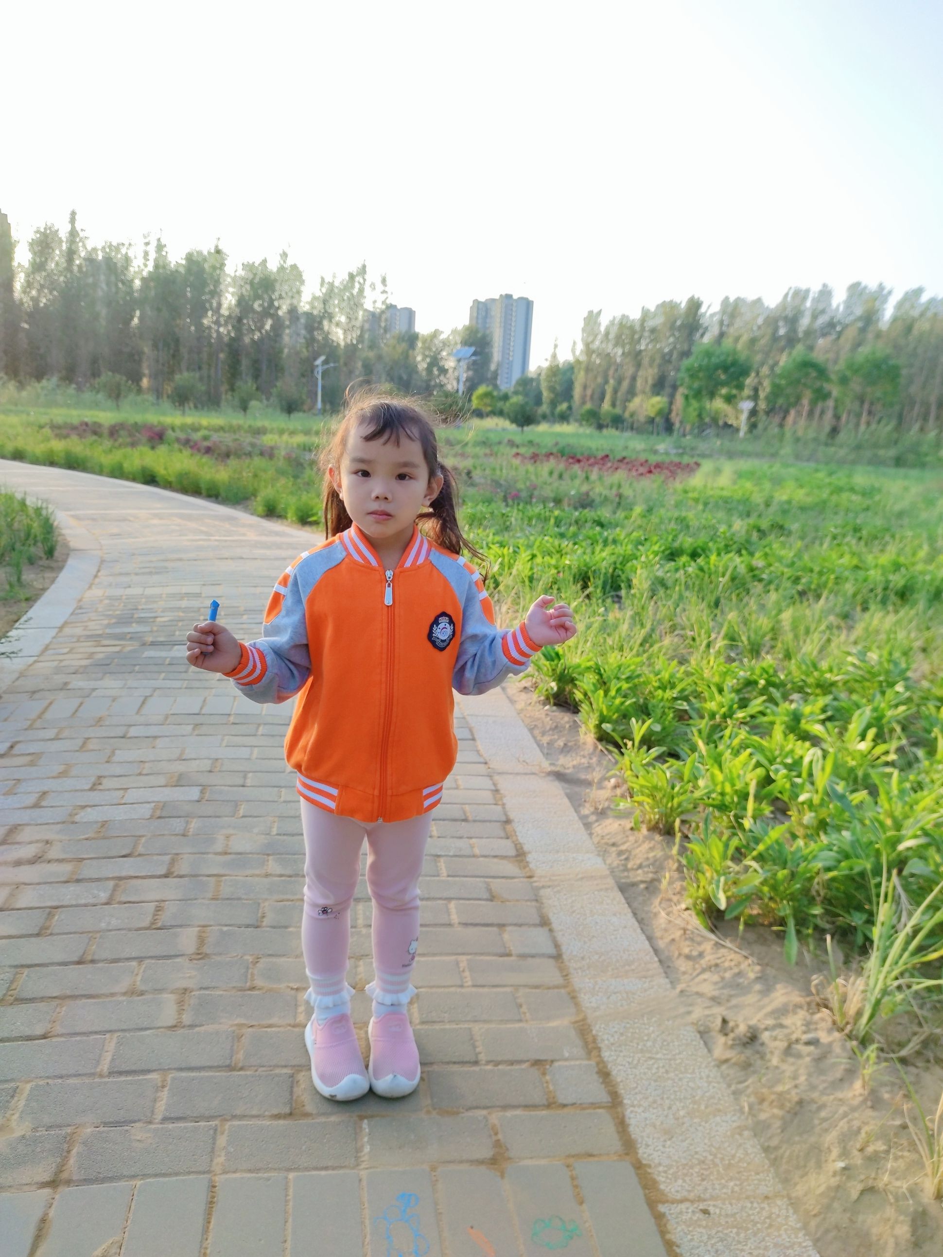 礼湖森林公园旅行图片 3