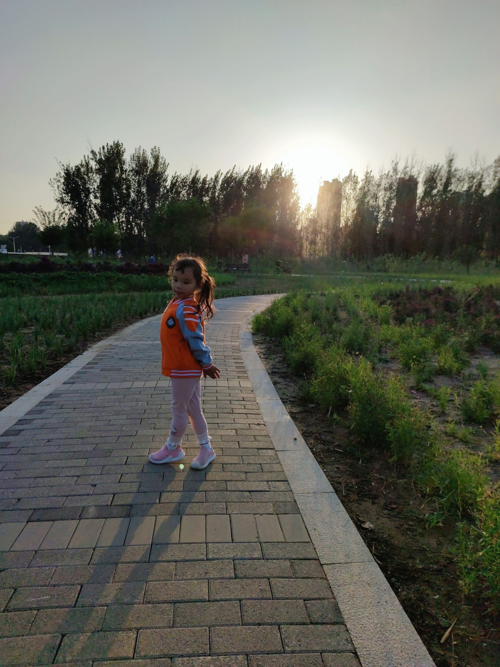 礼湖森林公园旅行图片 1