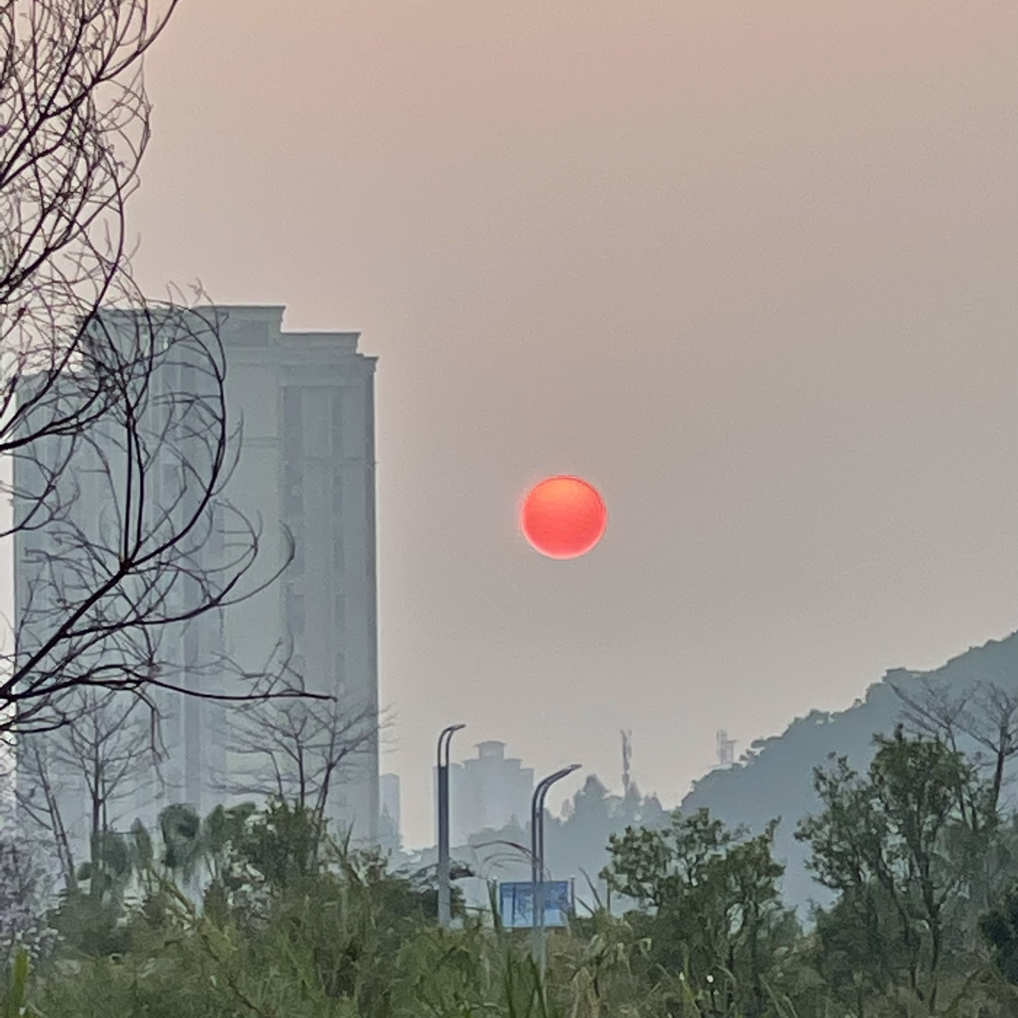 潮连沙滩公园旅行图片 3
