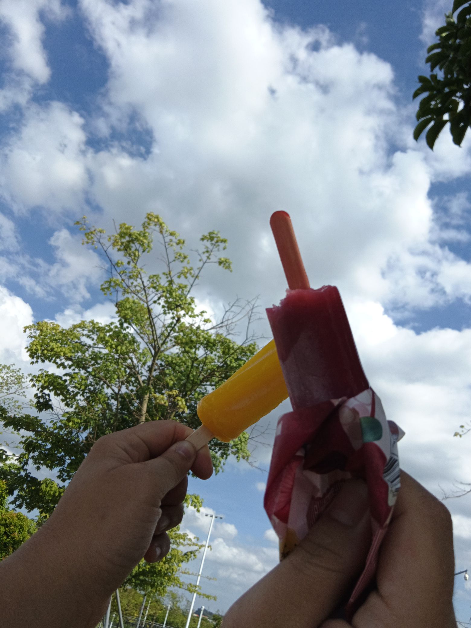 潮连沙滩公园旅行图片 2