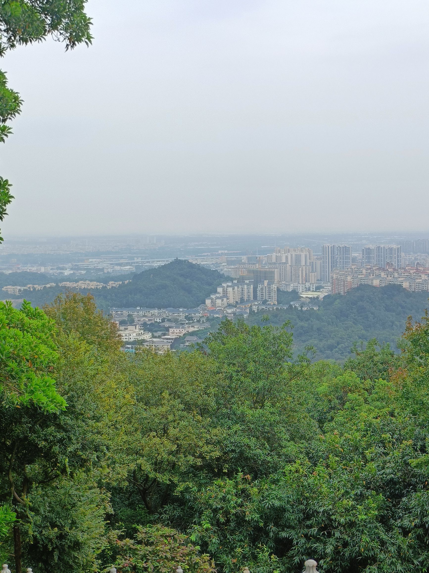 潮连沙滩公园旅行图片 2