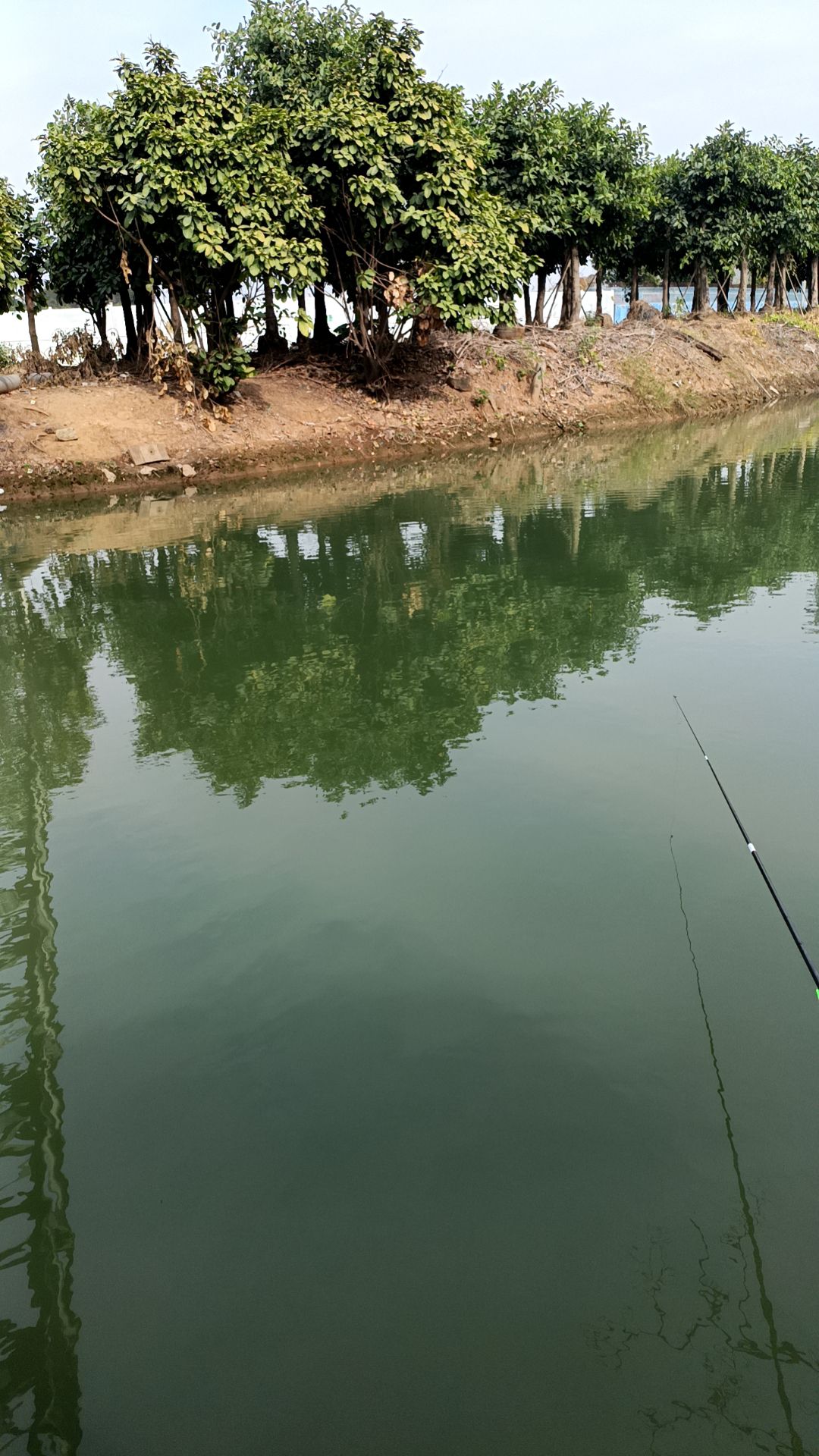 潮连沙滩公园旅行图片 1