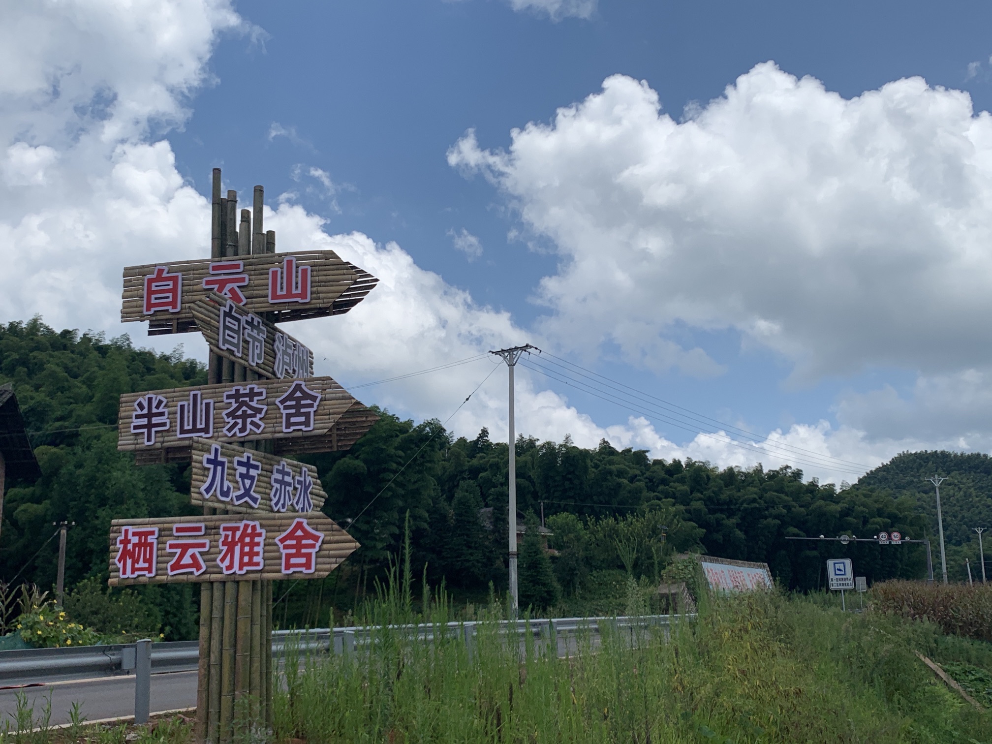 大旺竹海旅行图片 3