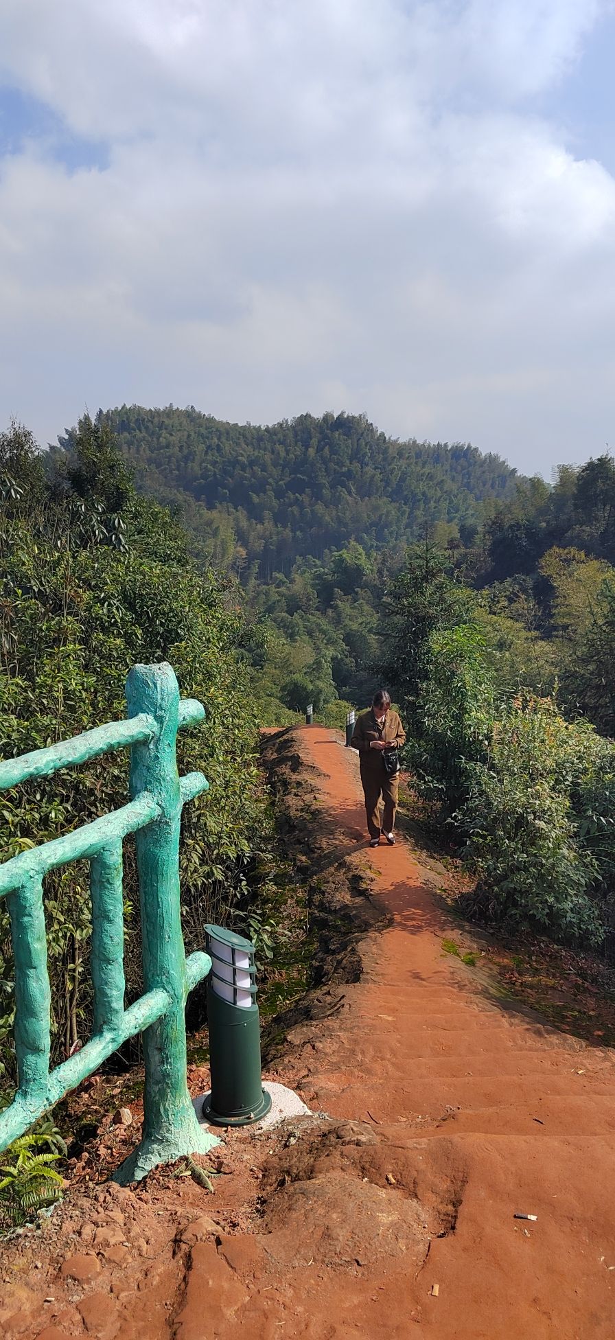 大旺竹海旅行图片 2