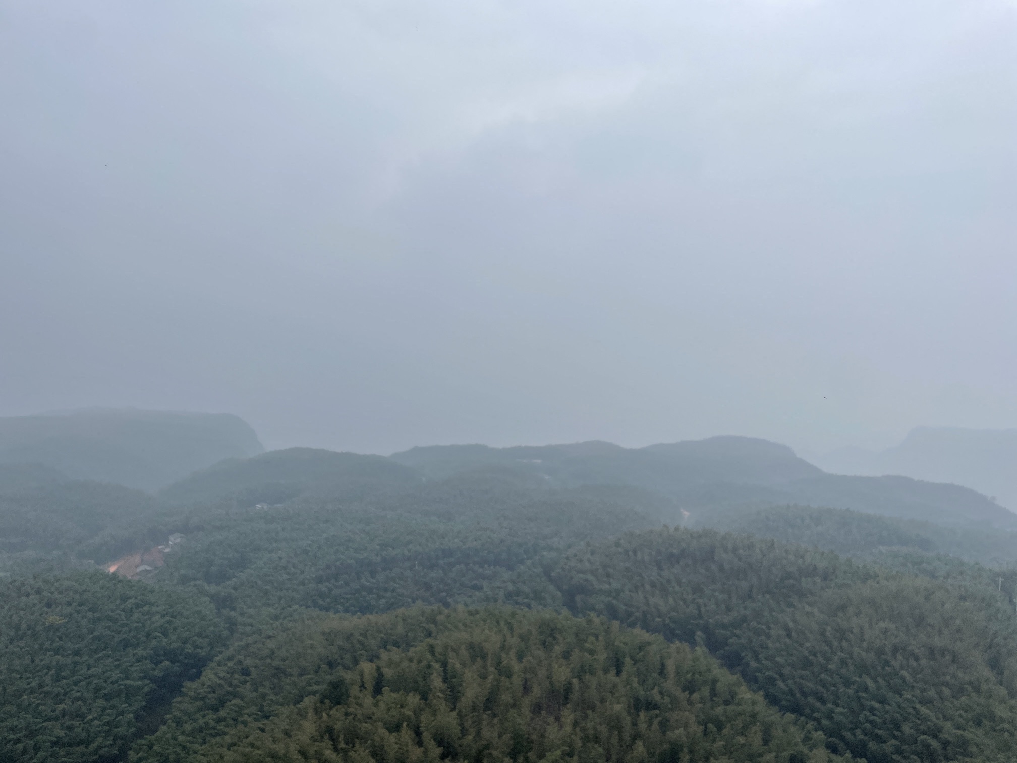 大旺竹海旅行图片 3