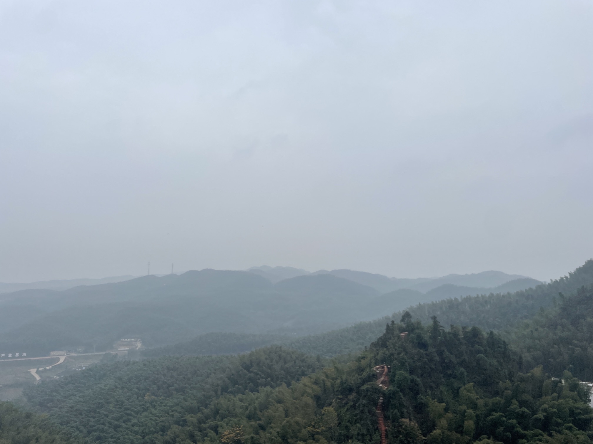 大旺竹海旅行图片 1