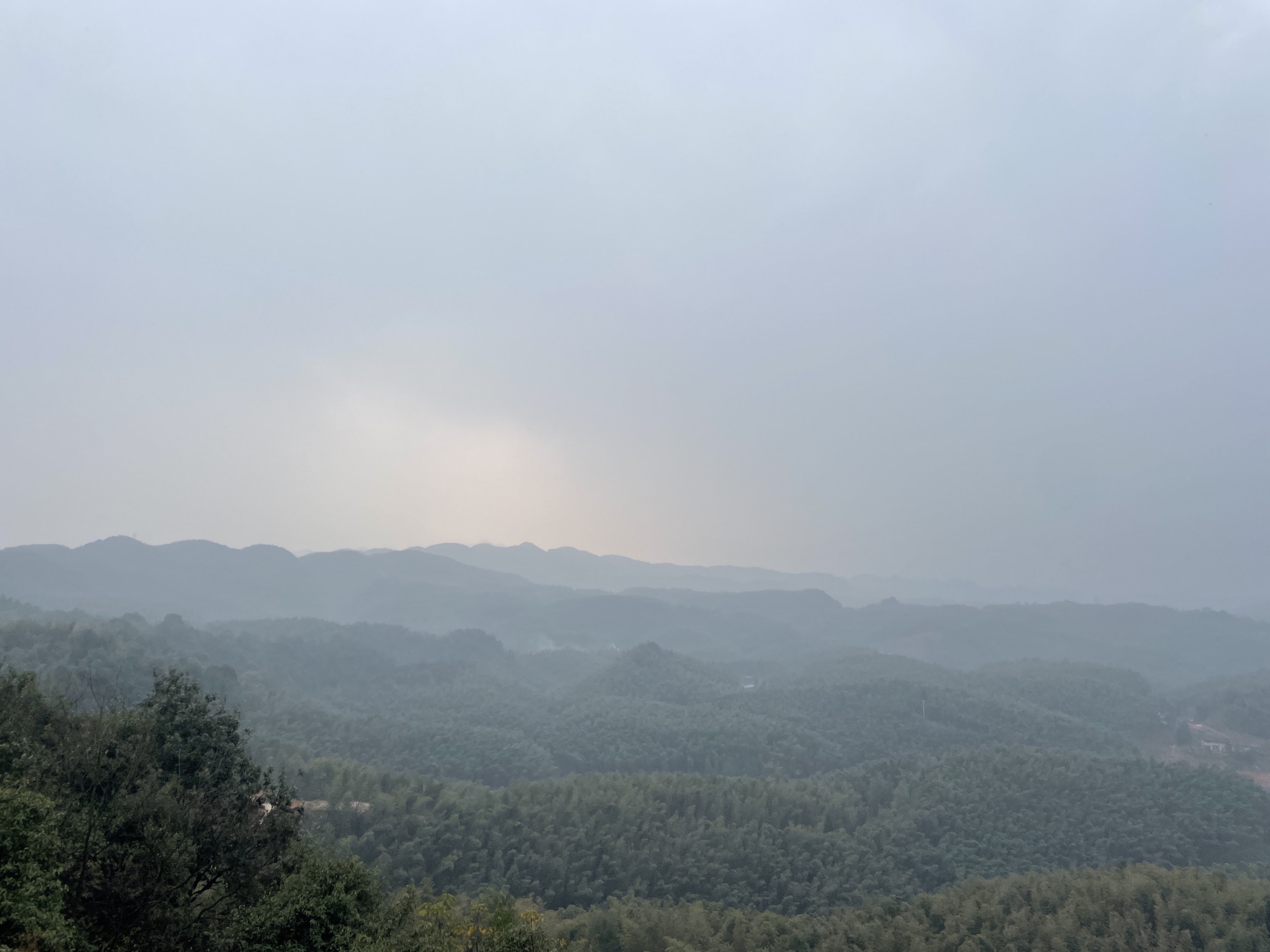 大旺竹海旅行图片 2
