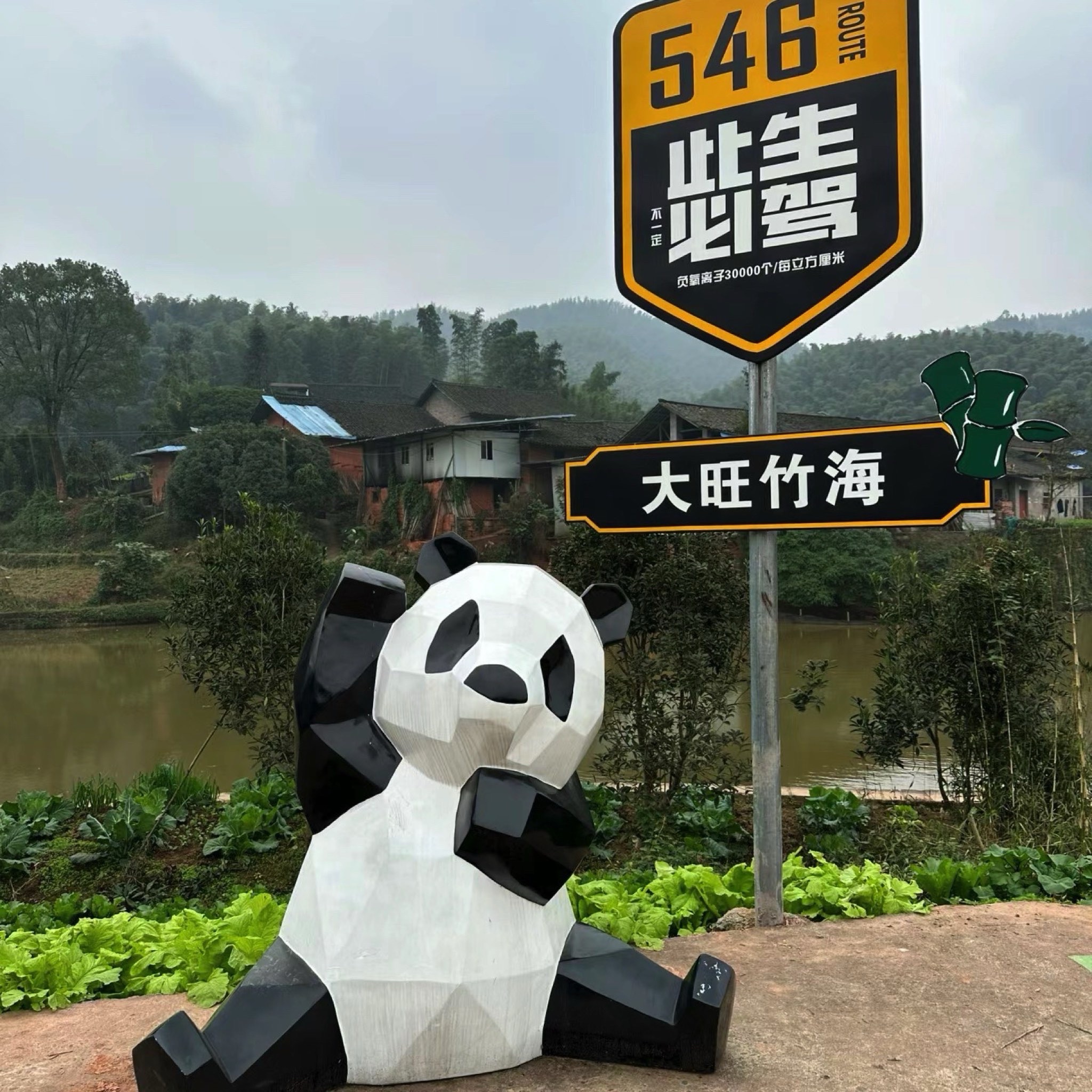 大旺竹海旅行图片 1