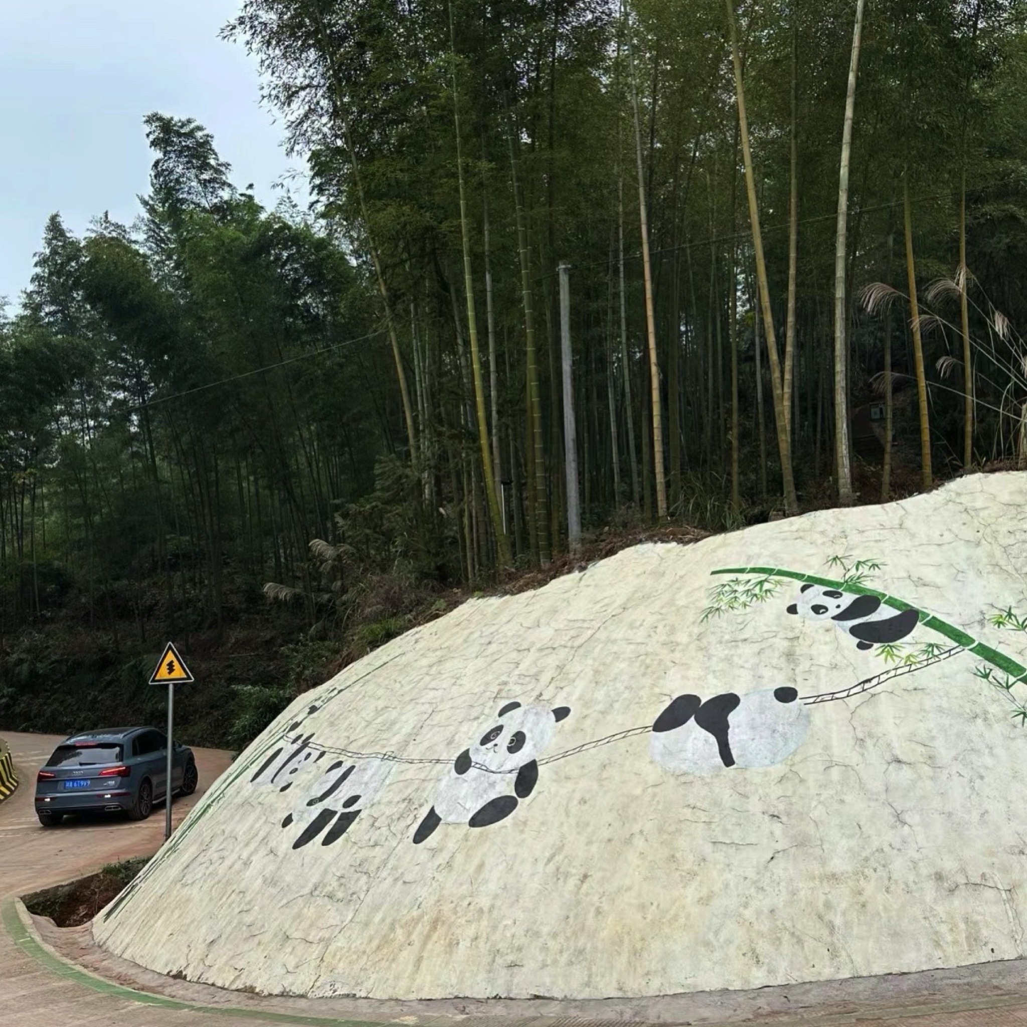 大旺竹海旅行图片 2
