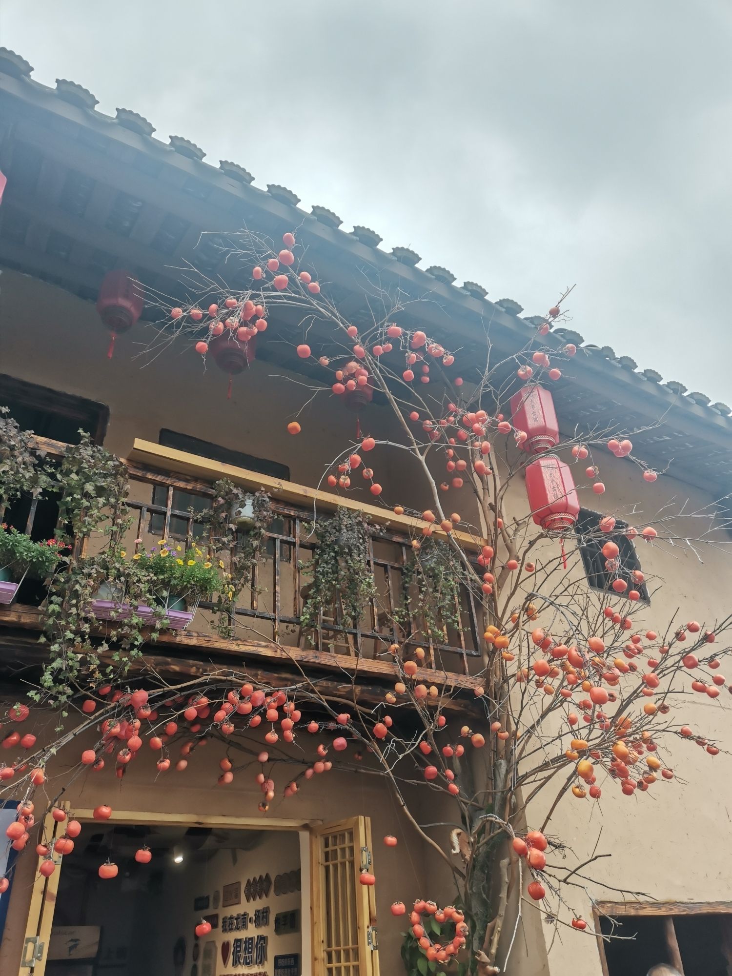 杨村燕翼围旅行图片 3