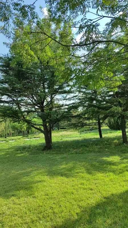 二里河公园旅行图片 3