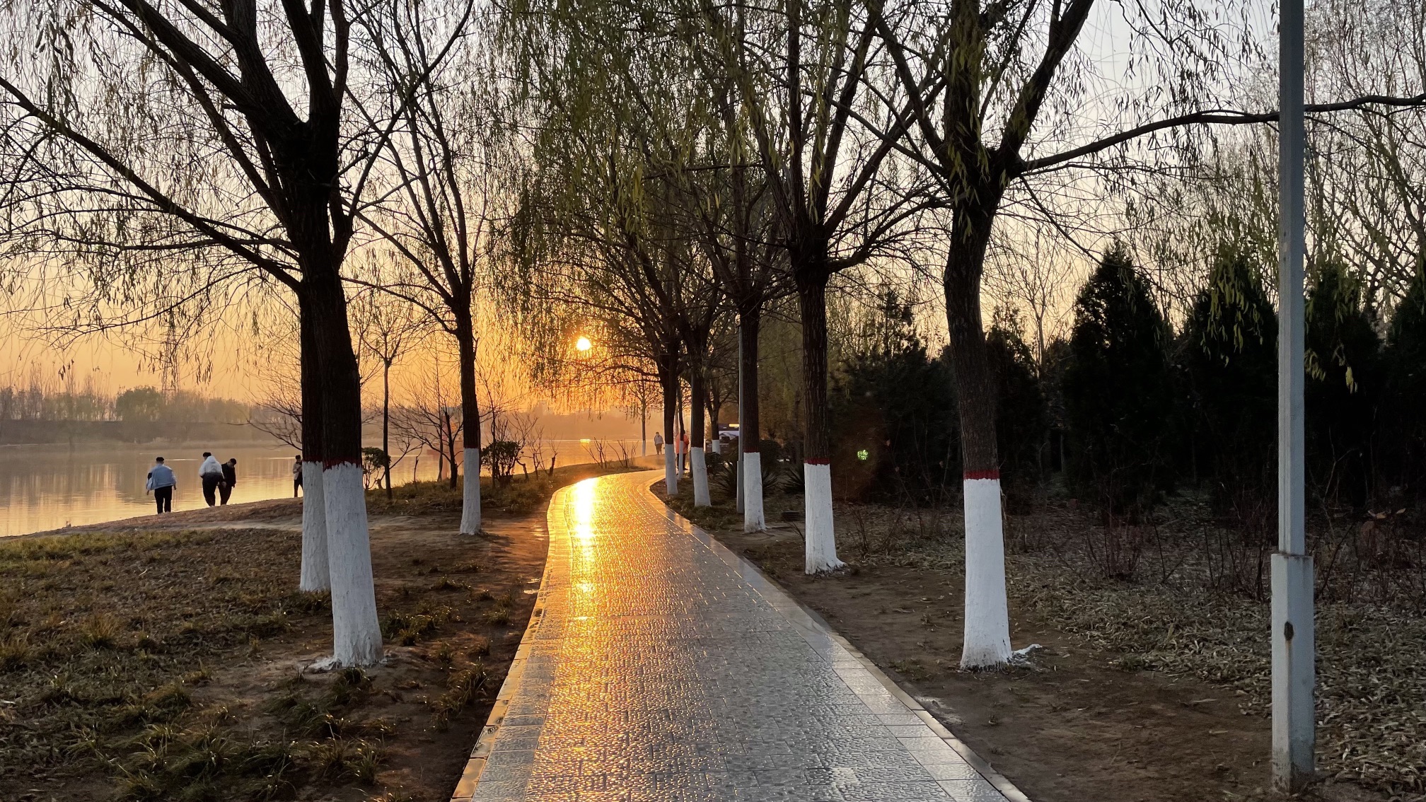 七里河沙滩公园旅行图片 1